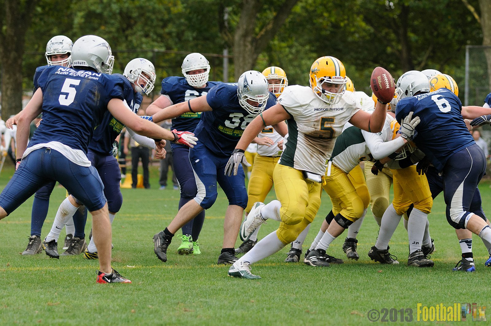 Cologne Crocodiles vs. Bochum Cadets - 01.09.2013 Cologne Crocodiles vs. Bochum Cadets (51:3) 