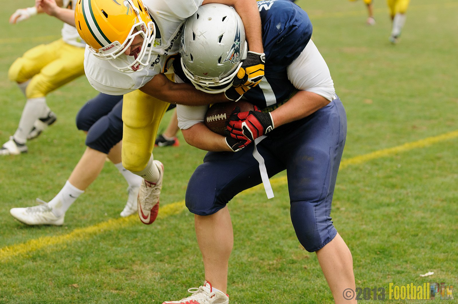 Cologne Crocodiles vs. Bochum Cadets - 01.09.2013 Cologne Crocodiles vs. Bochum Cadets (51:3) 