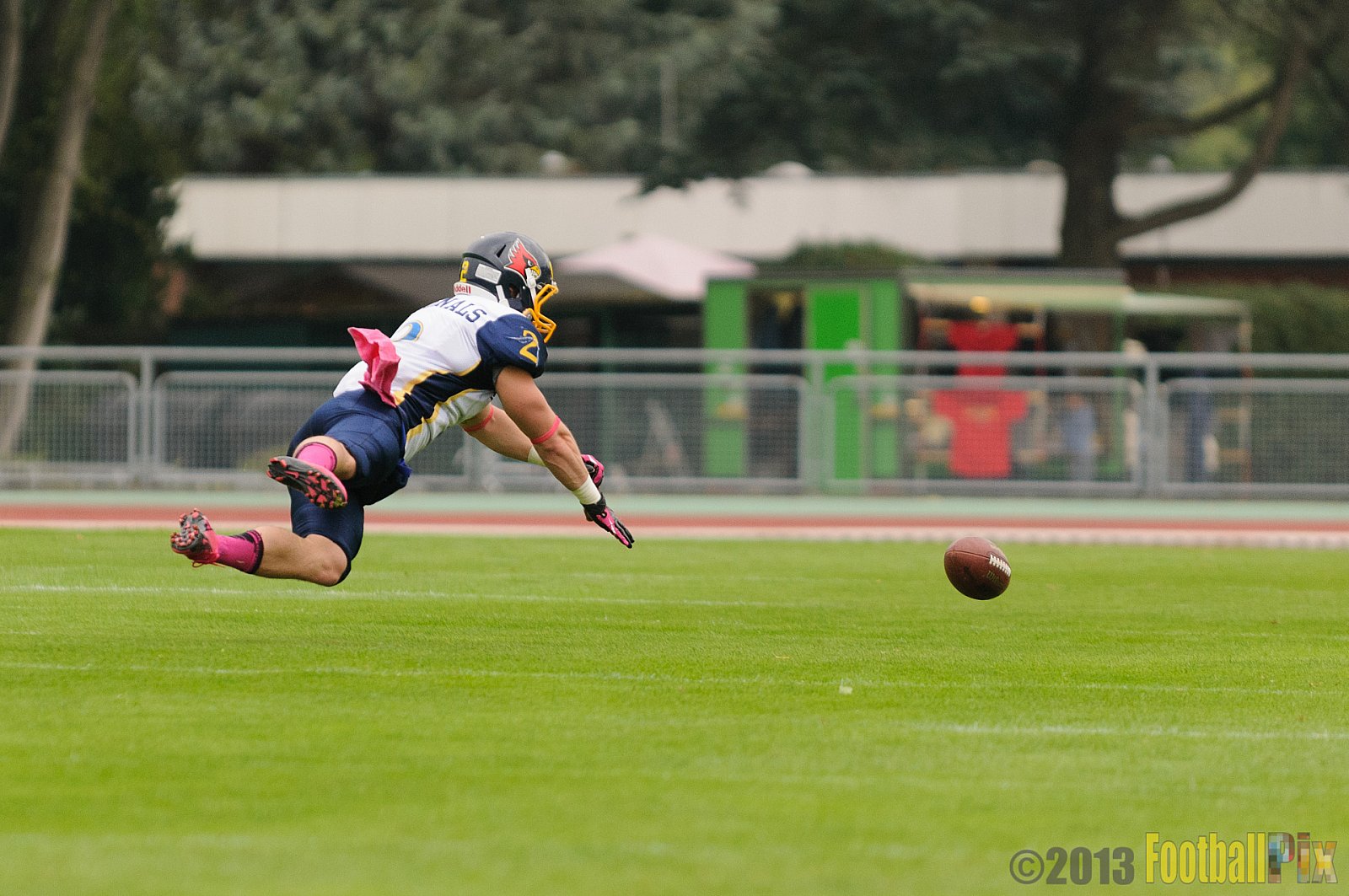 Essen Assindia Cardinals vs. Remscheid Amboss  - 07.09.2013 Essen Assindia Cardinals vs. Remscheid Amboss (13:14) 
