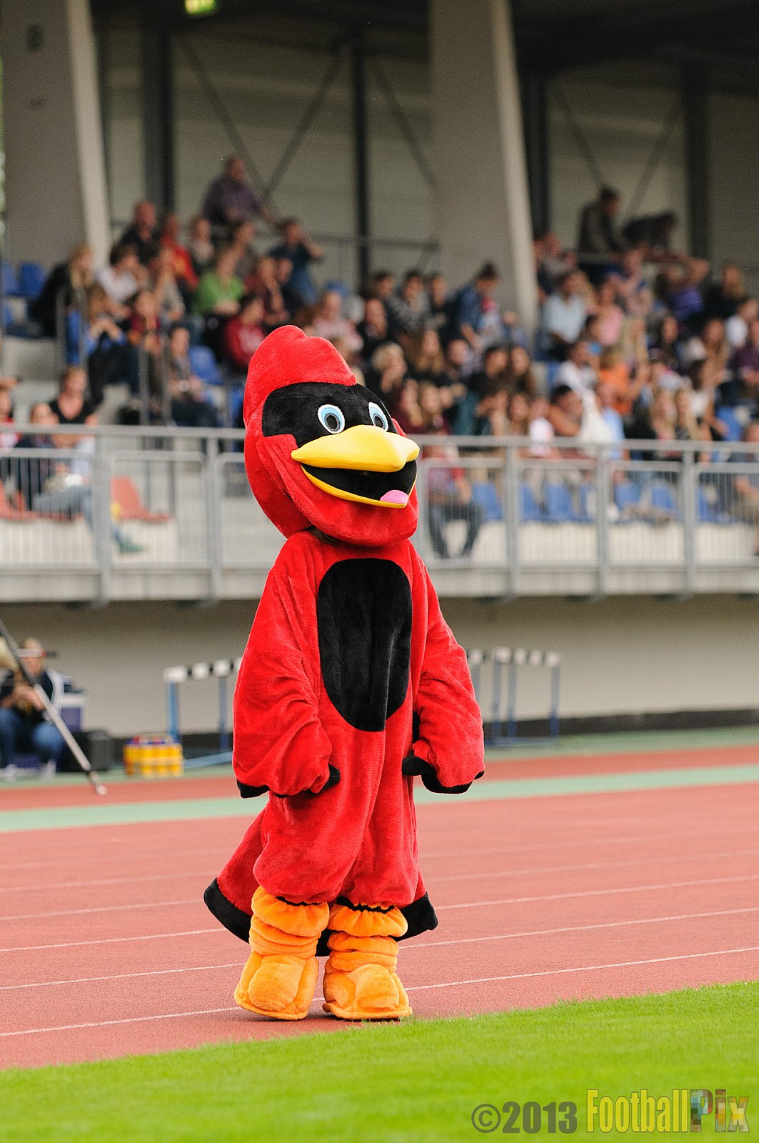 Essen Assindia Cardinals vs. Remscheid Amboss  - 07.09.2013 Essen Assindia Cardinals vs. Remscheid Amboss (13:14) 