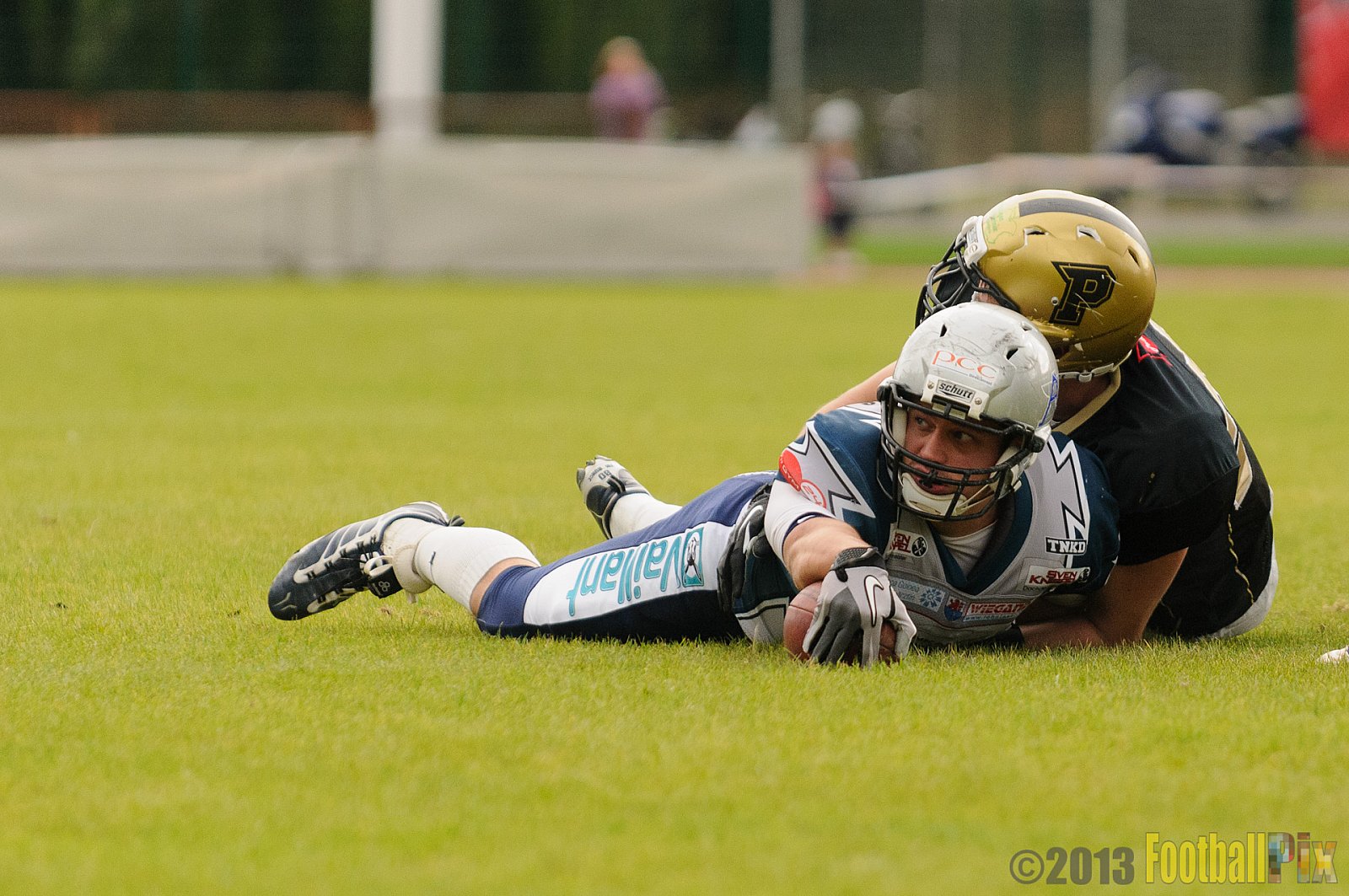 Remscheid Amboss vs. Paderborn Dolphins  - 15.09.2013 Remscheid Amboss vs. Paderborn Dolphins (22:7) 