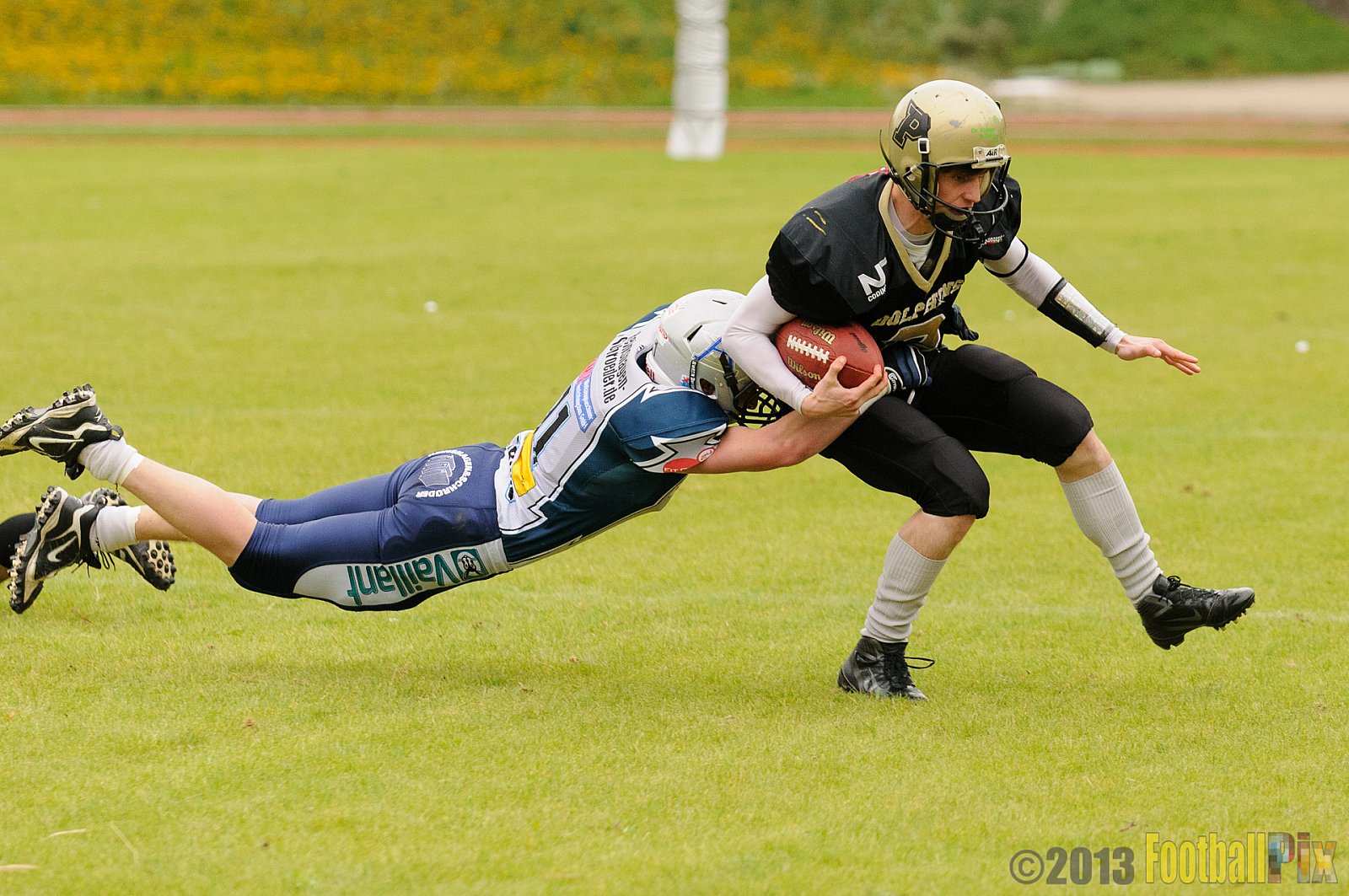  Remscheid Amboss vs. Paderborn Dolphins  - 15.09.2013 Remscheid Amboss vs. Paderborn Dolphins (22:7) 