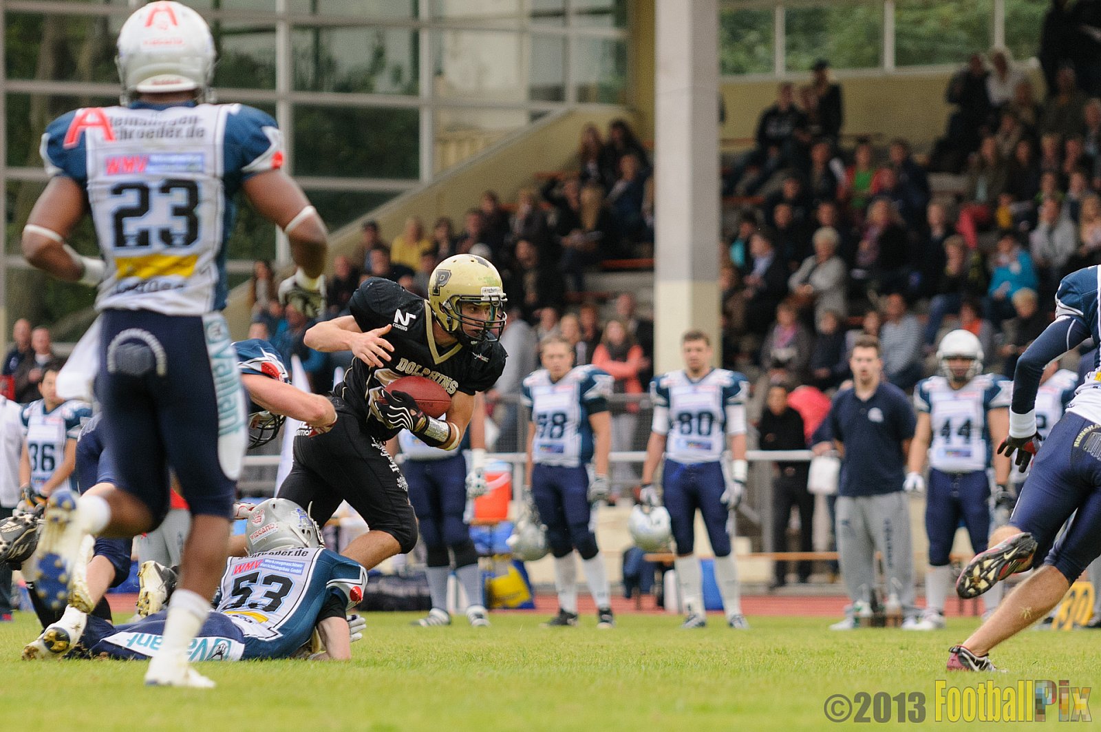  Remscheid Amboss vs. Paderborn Dolphins  - 15.09.2013 Remscheid Amboss vs. Paderborn Dolphins (22:7) 