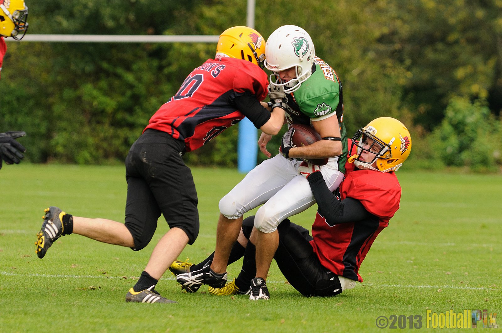 Neuss Frogs vs. Aachen Düren Demons - 21.09.2013 Neuss Frogs vs. Aachen Düren Demons (36:0) 