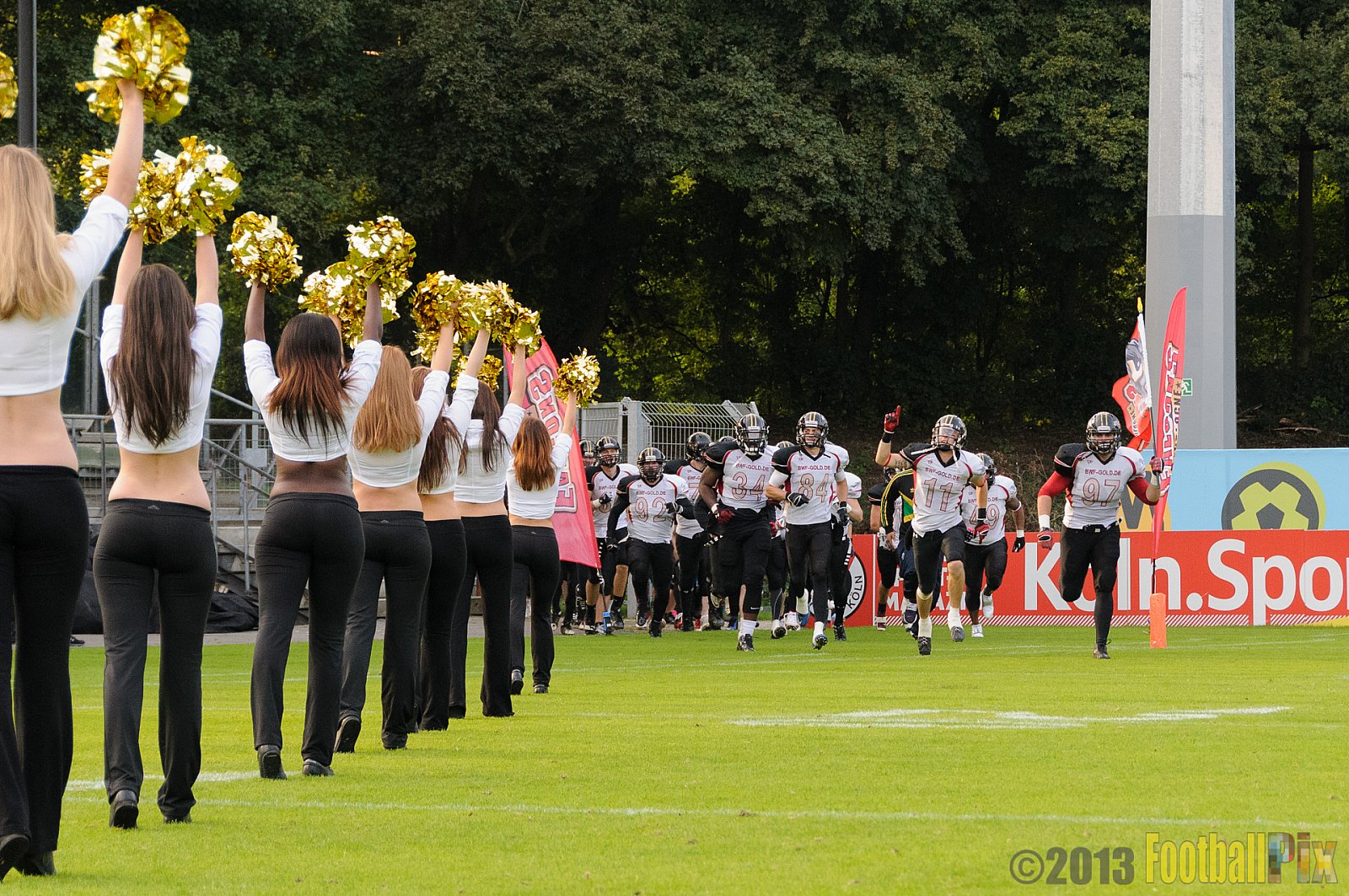 Relegationsspiel Cologne Falcons vs. Bielefeld Bulldogs - 21.09.2013 GFL Nord: Relegationsspiel Cologne Falcons vs. Bielefeld Bulldogs (42:30) 