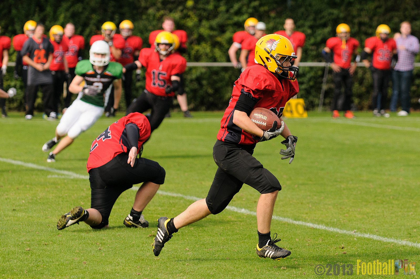 Neuss Frogs vs. Aachen Düren Demons - 21.09.2013 Neuss Frogs vs. Aachen Düren Demons (36:0) 