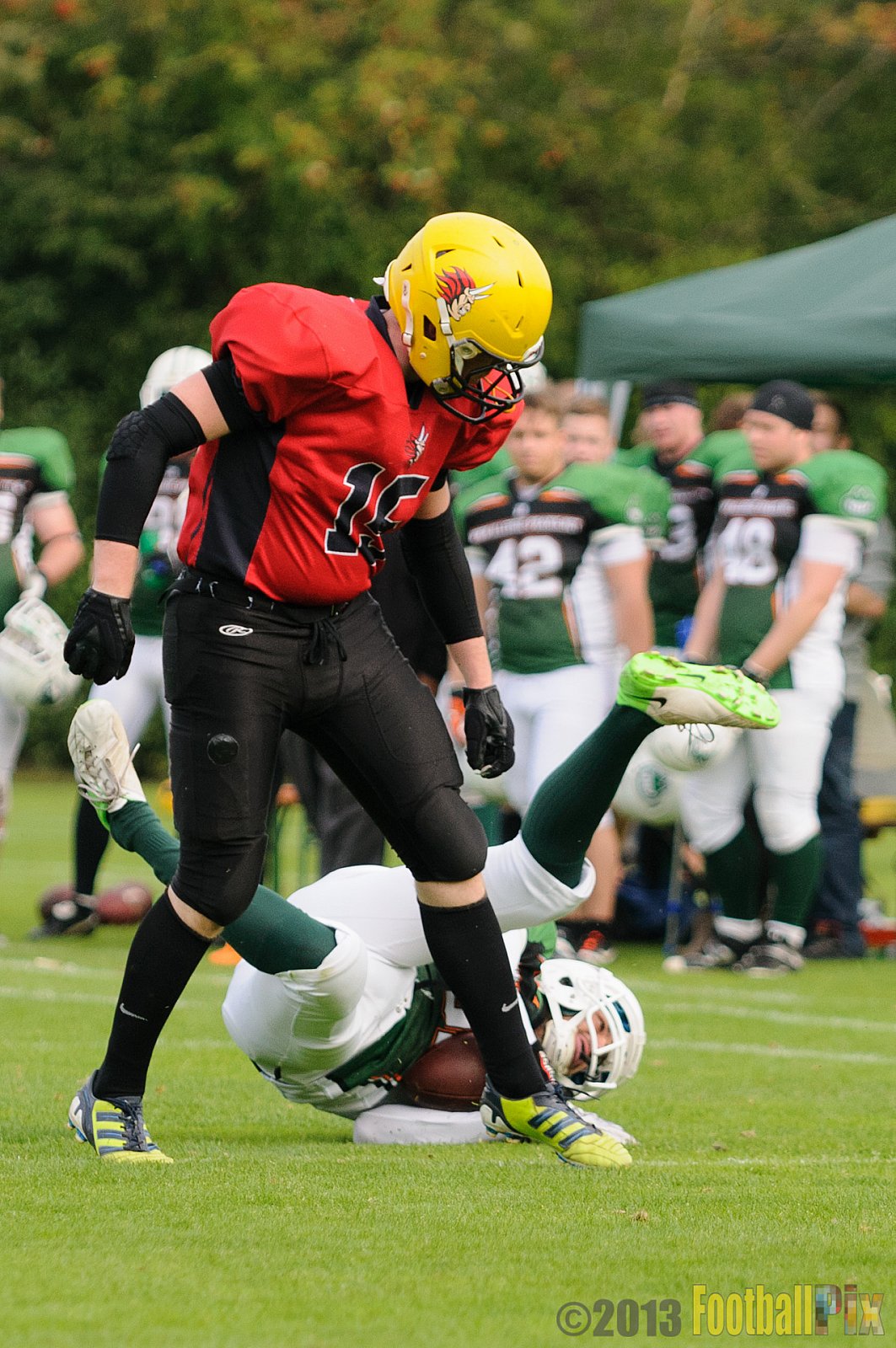 Neuss Frogs vs. Aachen Düren Demons - 21.09.2013 Neuss Frogs vs. Aachen Düren Demons (36:0) 