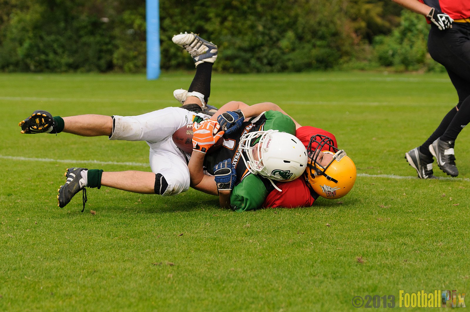 Neuss Frogs vs. Aachen Düren Demons - 21.09.2013 Neuss Frogs vs. Aachen Düren Demons (36:0) 