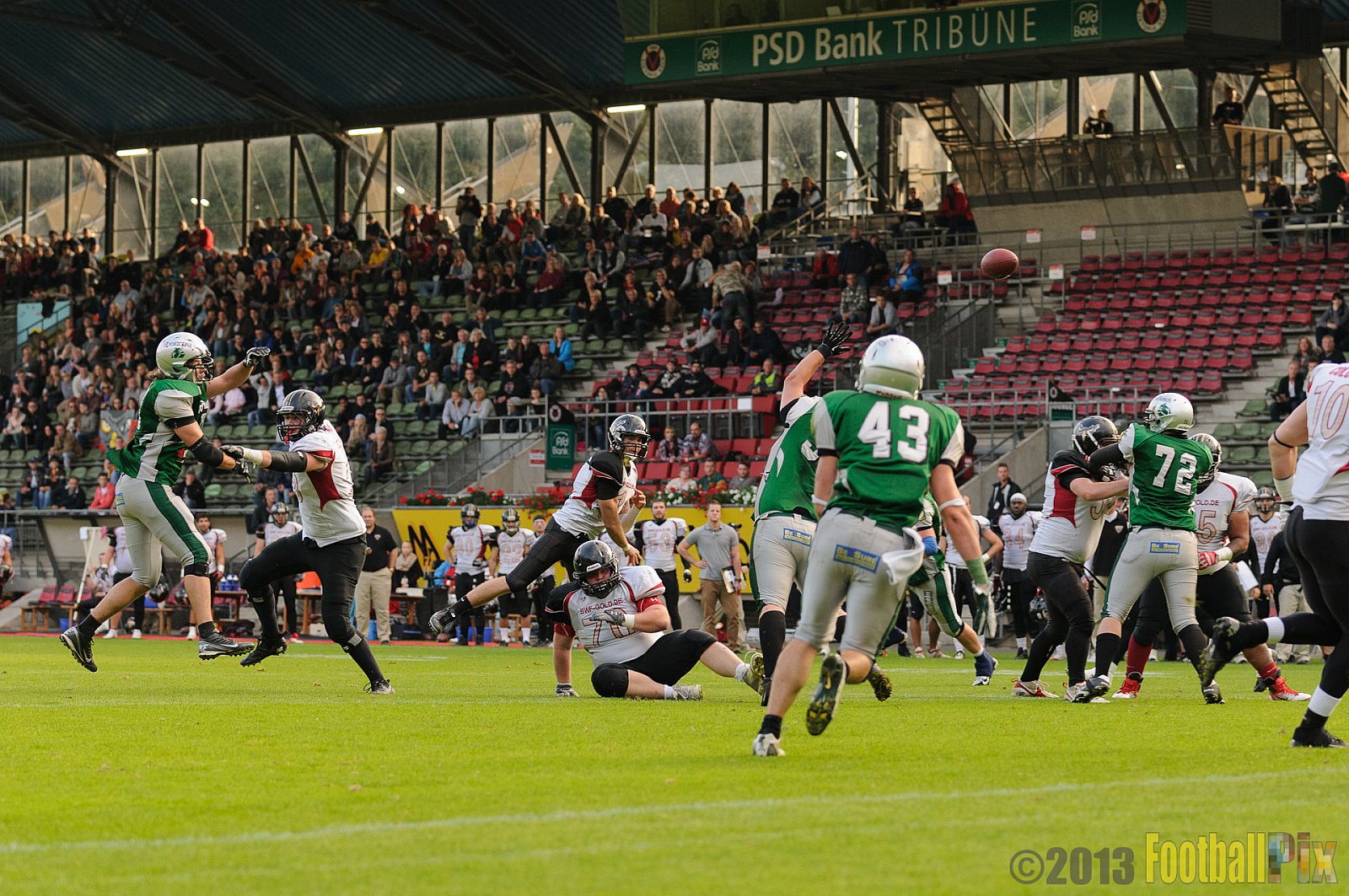 Relegationsspiel Cologne Falcons vs. Bielefeld Bulldogs - 21.09.2013 GFL Nord: Relegationsspiel Cologne Falcons vs. Bielefeld Bulldogs (42:30) 