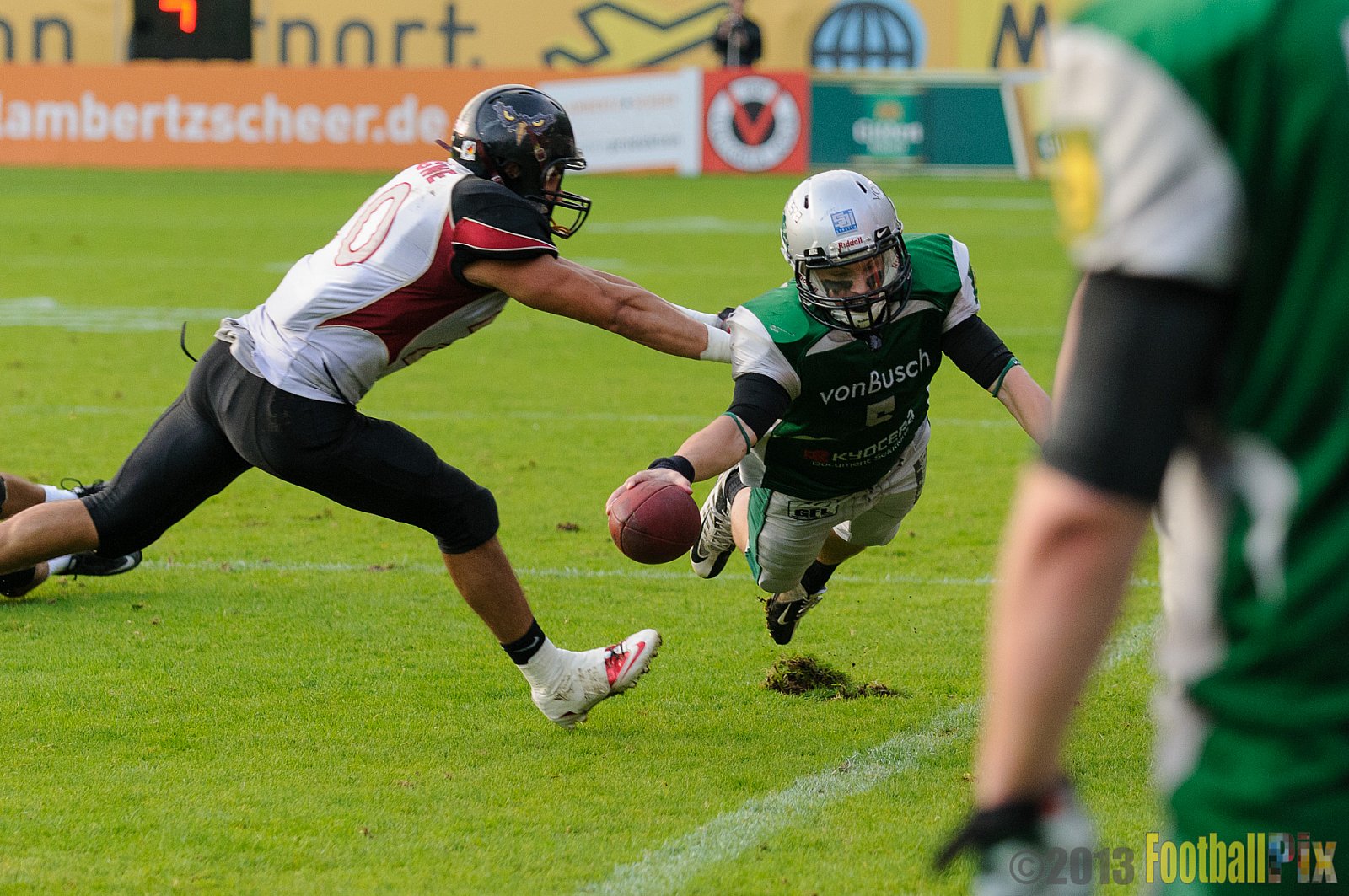 Relegationsspiel Cologne Falcons vs. Bielefeld Bulldogs - 21.09.2013 GFL Nord: Relegationsspiel Cologne Falcons vs. Bielefeld Bulldogs (42:30) 