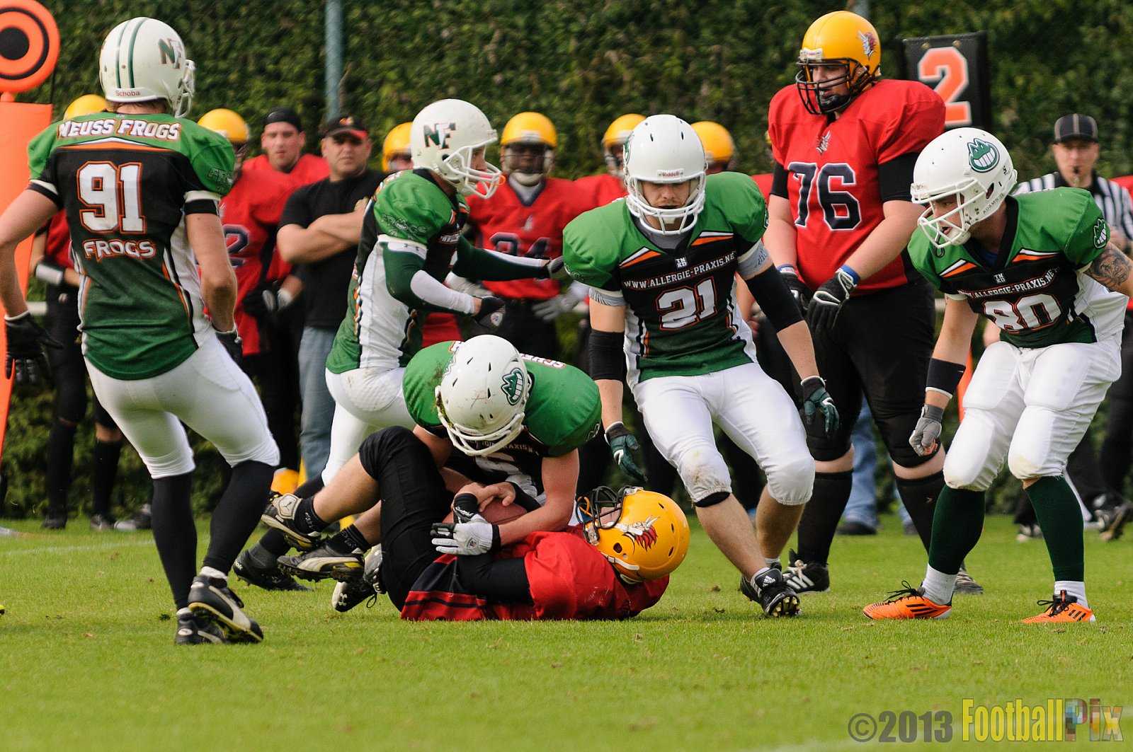 Neuss Frogs vs. Aachen Düren Demons - 21.09.2013 Neuss Frogs vs. Aachen Düren Demons (36:0) 
