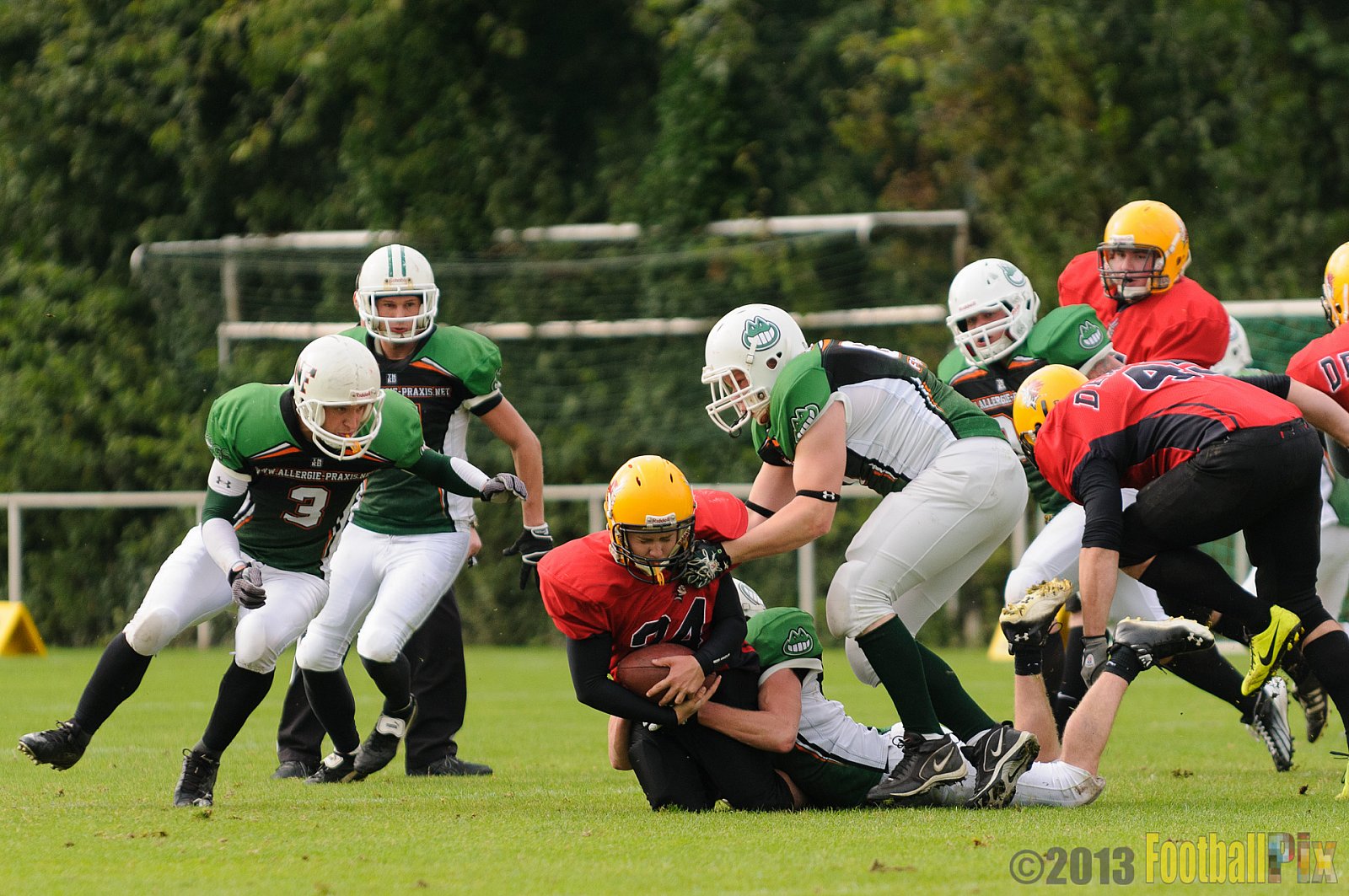 Neuss Frogs vs. Aachen Düren Demons - 21.09.2013 Neuss Frogs vs. Aachen Düren Demons (36:0) 
