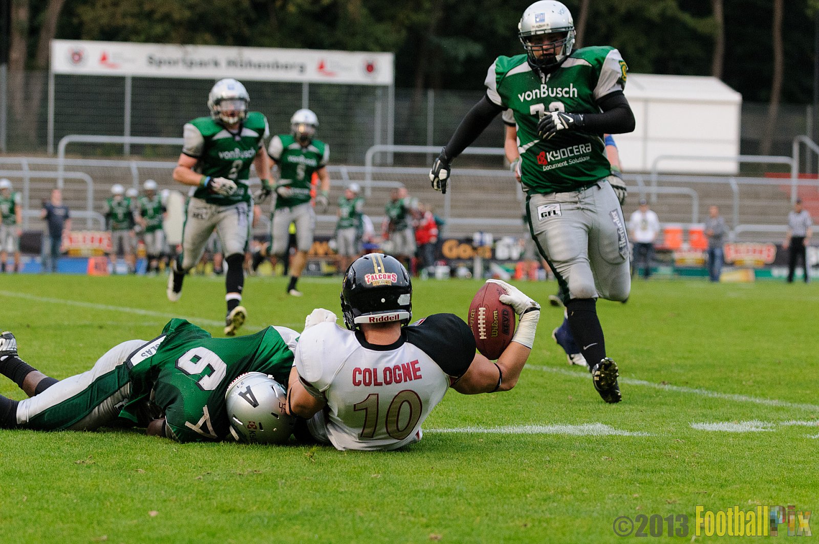 Relegationsspiel Cologne Falcons vs. Bielefeld Bulldogs - 21.09.2013 GFL Nord: Relegationsspiel Cologne Falcons vs. Bielefeld Bulldogs (42:30) 