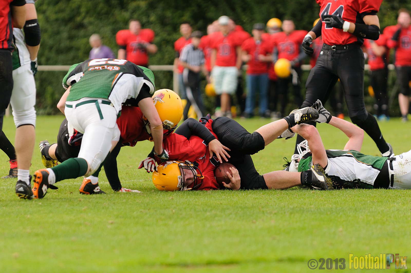 Neuss Frogs vs. Aachen Düren Demons - 21.09.2013 Neuss Frogs vs. Aachen Düren Demons (36:0) 