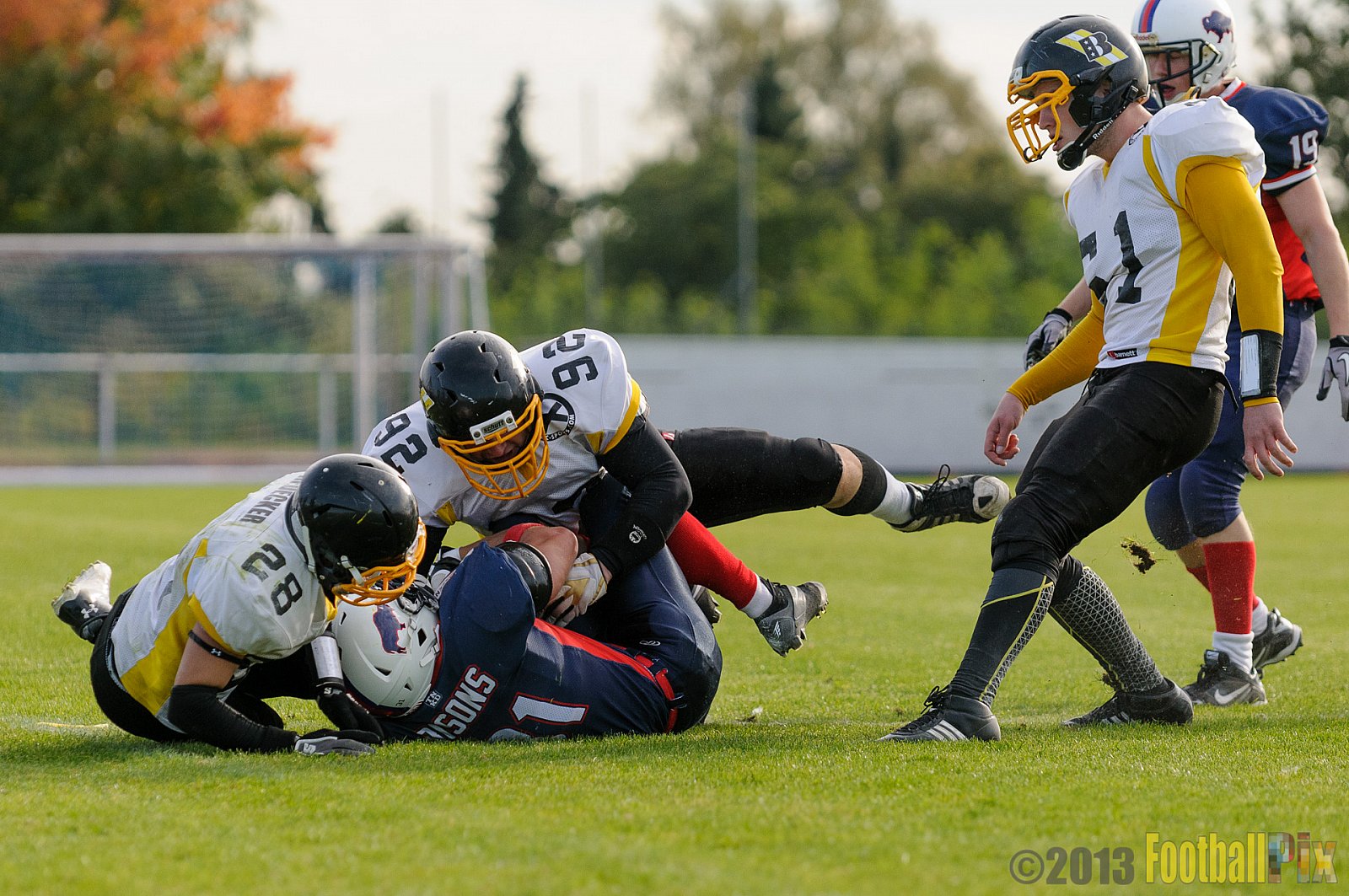 Kreis Heinsberg Bisons vs. Düsseldorf Bulldozer - 03.10.2013 Kreis Heinsberg Bisons vs. Düsseldorf Bulldozer (6:36) 