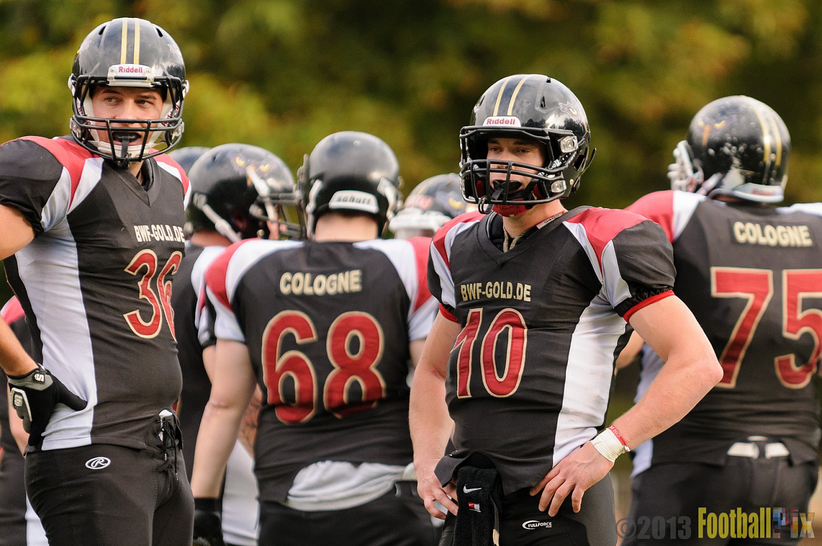 Cologne Falcons II vs. Mönchengladbach Wolfpack - 06.10.2013 Cologne Falcons II vs. Mönchengladbach Wolfpack (30:20) 