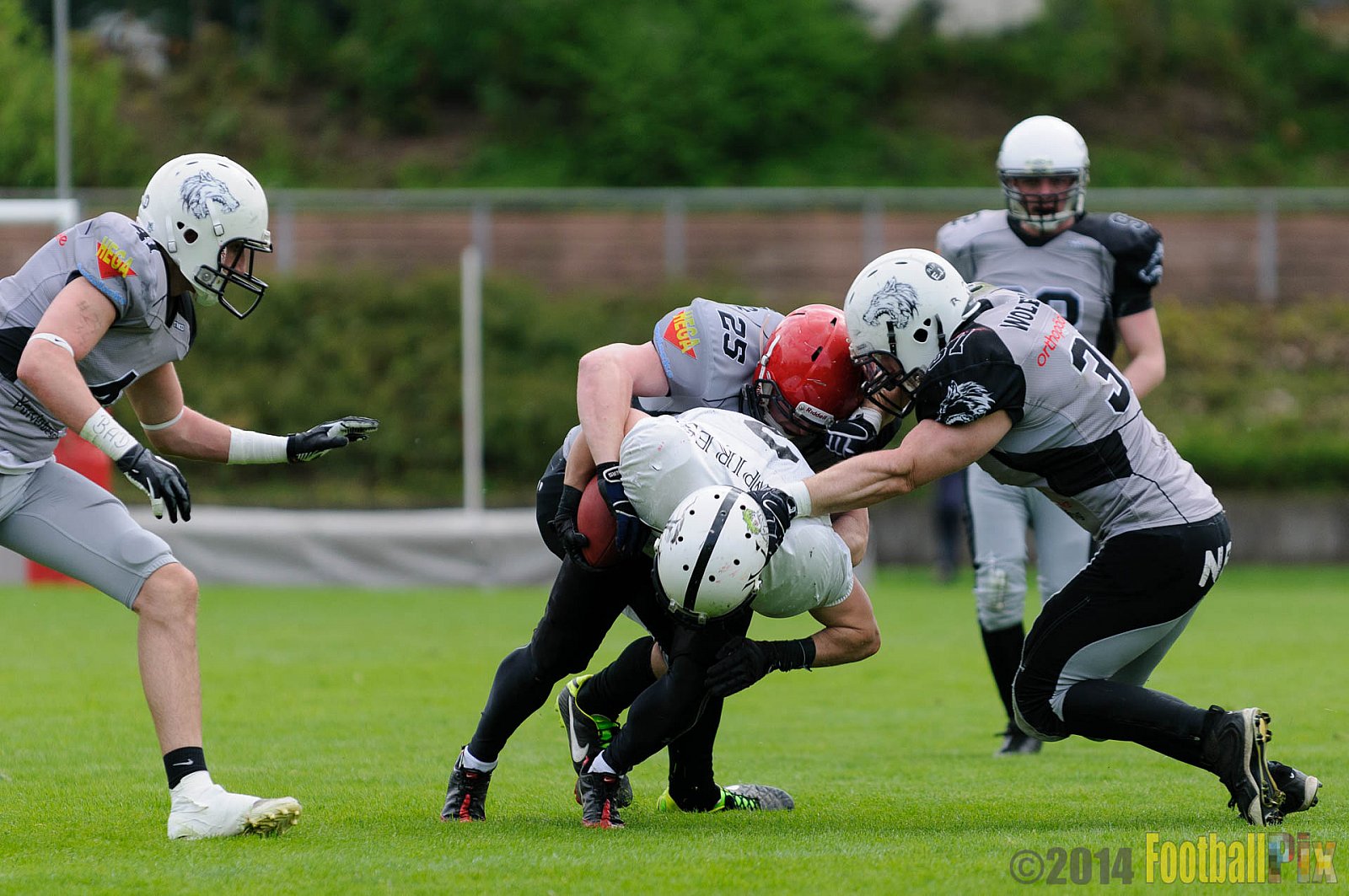 Mönchengladbach Wolfpack vs. Aachen Vampires - 13.04.2014 Mönchengladbach Wolfpack vs. Aachen Vampires (8:8)