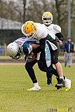 Scrimmage Remscheid Amboss, Cologne Crocodiles - 23.03.2014 Scrimmage Remscheid Amboss vs. Cologne Crocodiles 