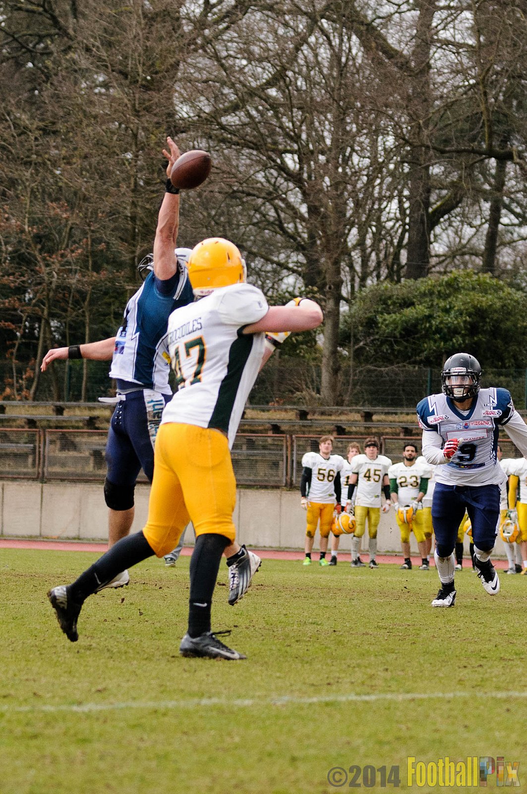 Scrimmage Remscheid Amboss, Cologne Crocodiles - 23.03.2014 Scrimmage Remscheid Amboss vs. Cologne Crocodiles 