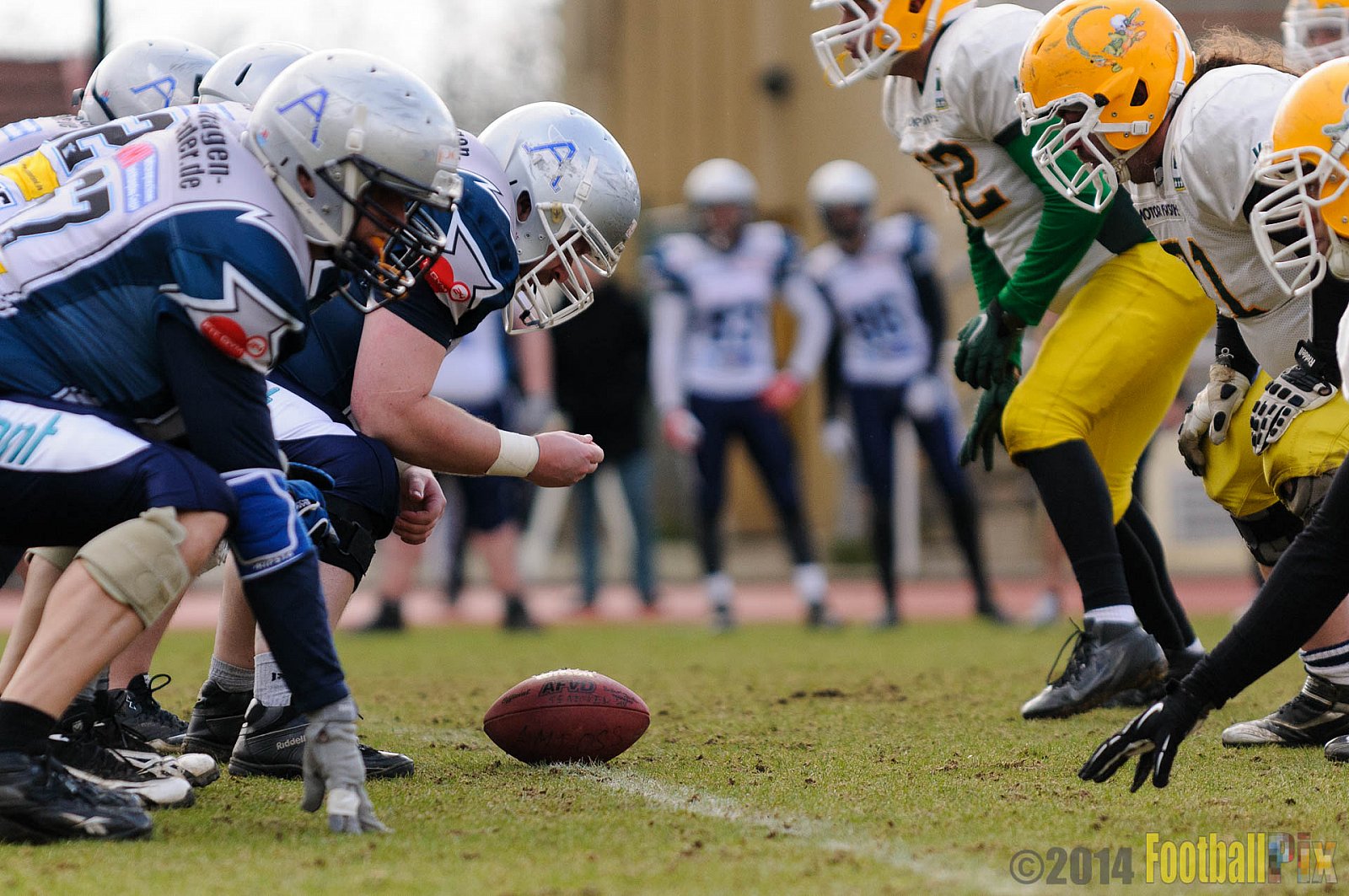 Scrimmage Remscheid Amboss, Cologne Crocodiles - 23.03.2014 Scrimmage Remscheid Amboss vs. Cologne Crocodiles 