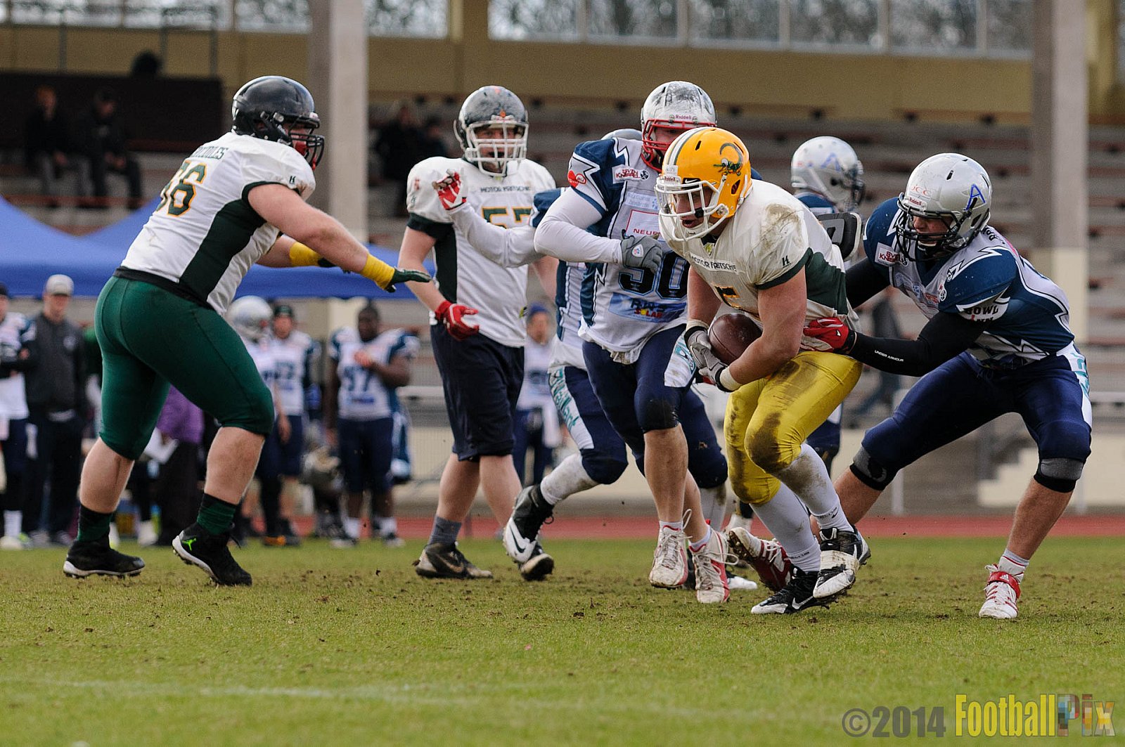 Scrimmage Remscheid Amboss, Cologne Crocodiles - 23.03.2014 Scrimmage Remscheid Amboss vs. Cologne Crocodiles 