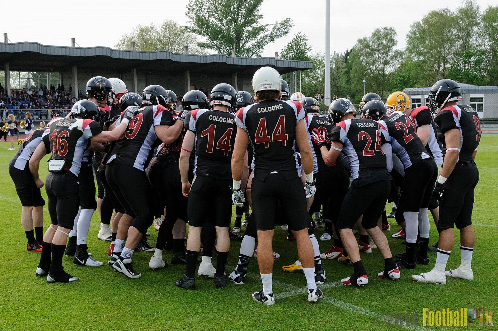 Essen Assindia Cardinals vs. Köln Falcons - 12.04.2014 Essen Assindia Cardinals vs. Köln Falcons (9:61)