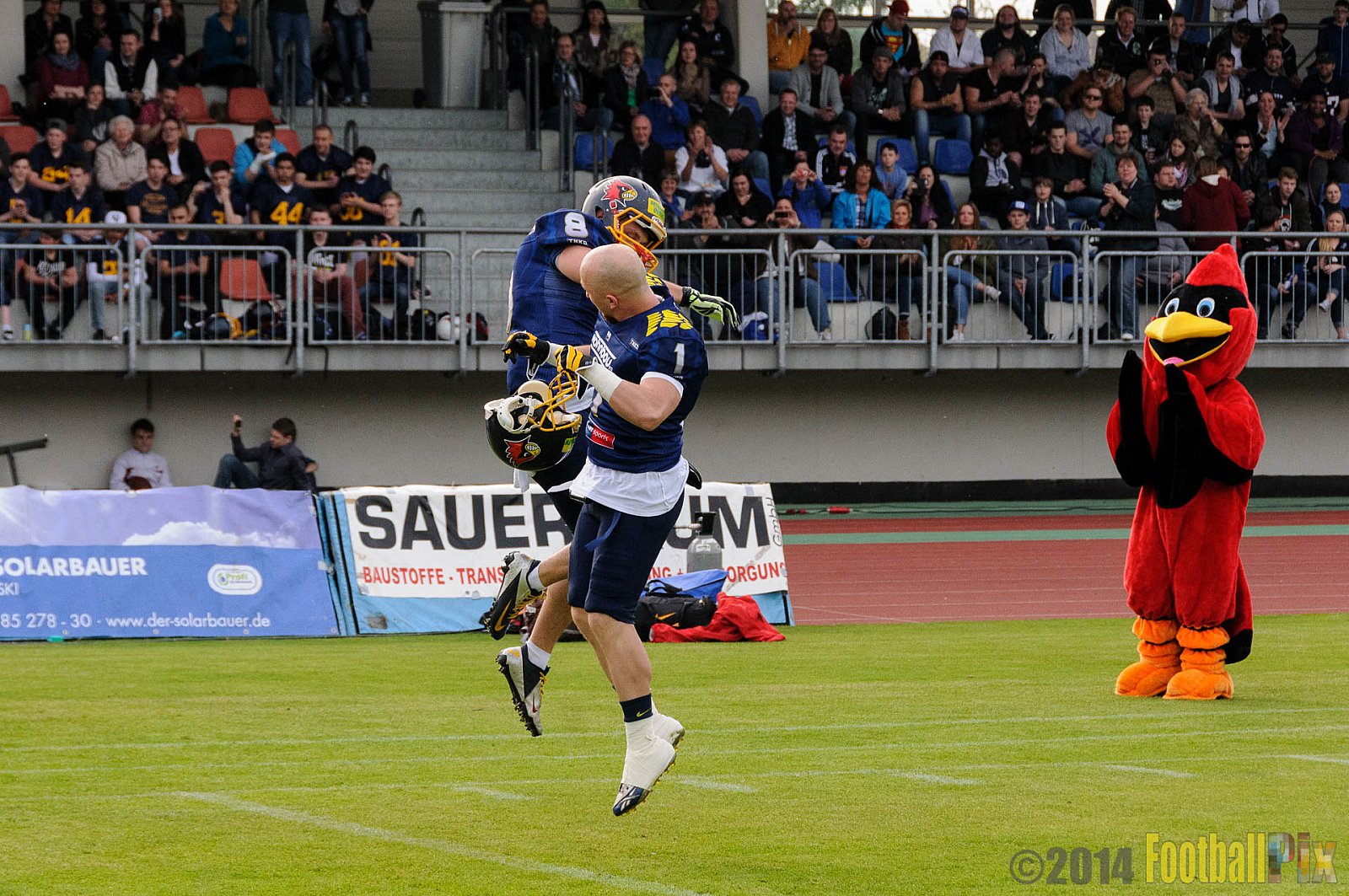 Essen Assindia Cardinals vs. Köln Falcons - 12.04.2014 Essen Assindia Cardinals vs. Köln Falcons (9:61)