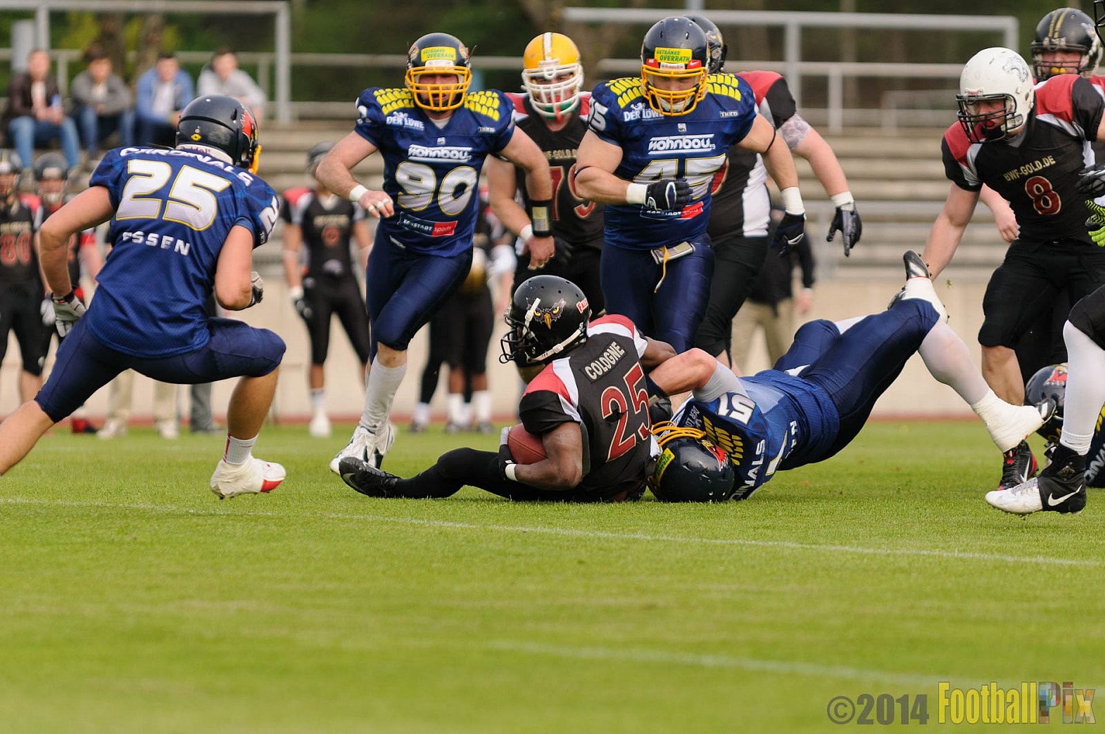 Essen Assindia Cardinals vs. Köln Falcons - 12.04.2014 Essen Assindia Cardinals vs. Köln Falcons (9:61)