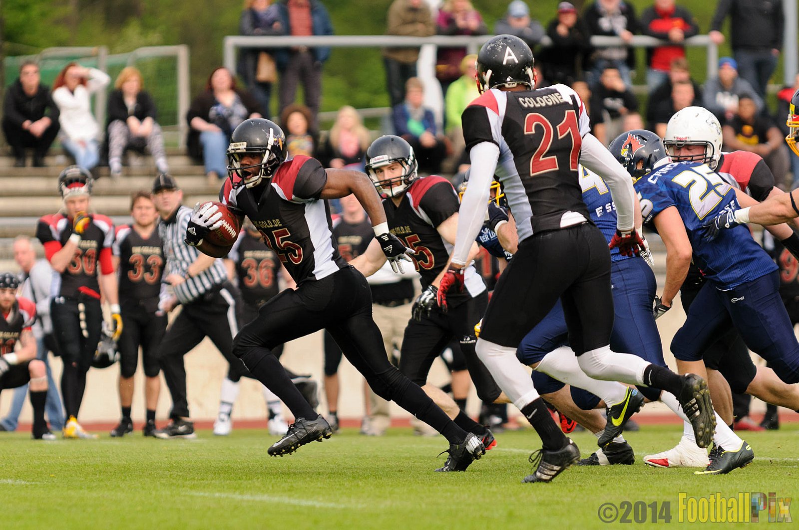 Essen Assindia Cardinals vs. Köln Falcons - 12.04.2014 Essen Assindia Cardinals vs. Köln Falcons (9:61)