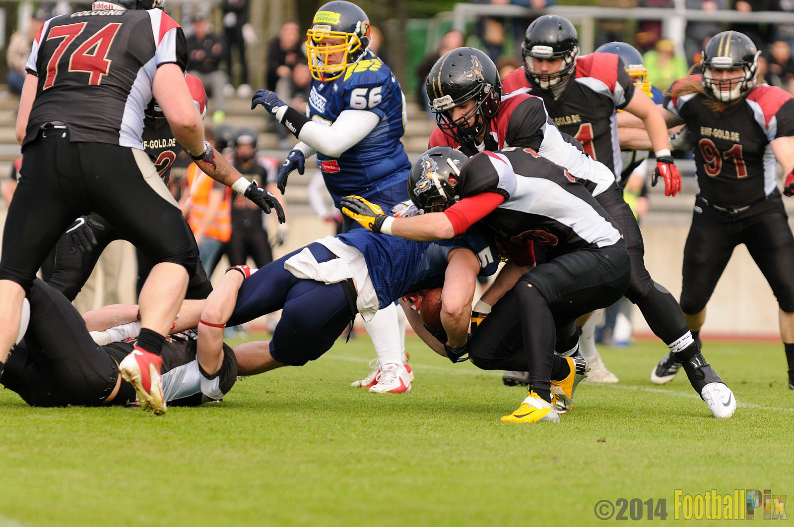 Essen Assindia Cardinals vs. Köln Falcons - 12.04.2014 Essen Assindia Cardinals vs. Köln Falcons (9:61)