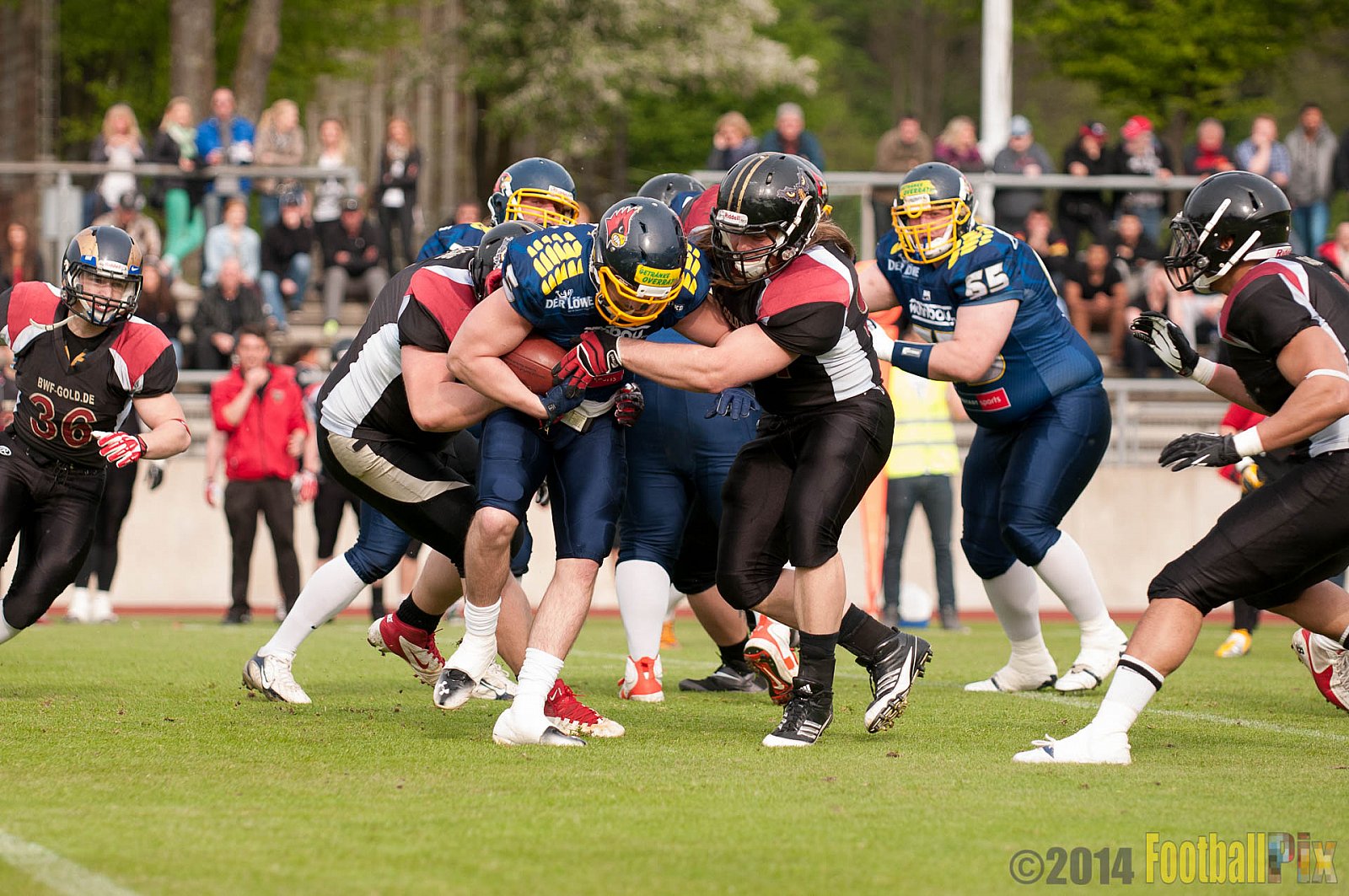 Essen Assindia Cardinals vs. Köln Falcons - 12.04.2014 Essen Assindia Cardinals vs. Köln Falcons (9:61)