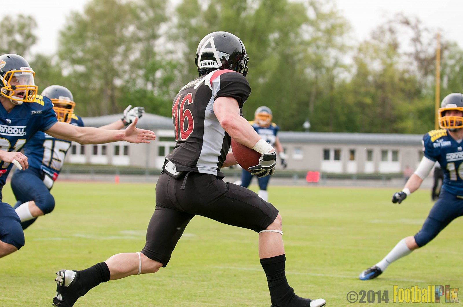Essen Assindia Cardinals vs. Köln Falcons - 12.04.2014 Essen Assindia Cardinals vs. Köln Falcons (9:61)