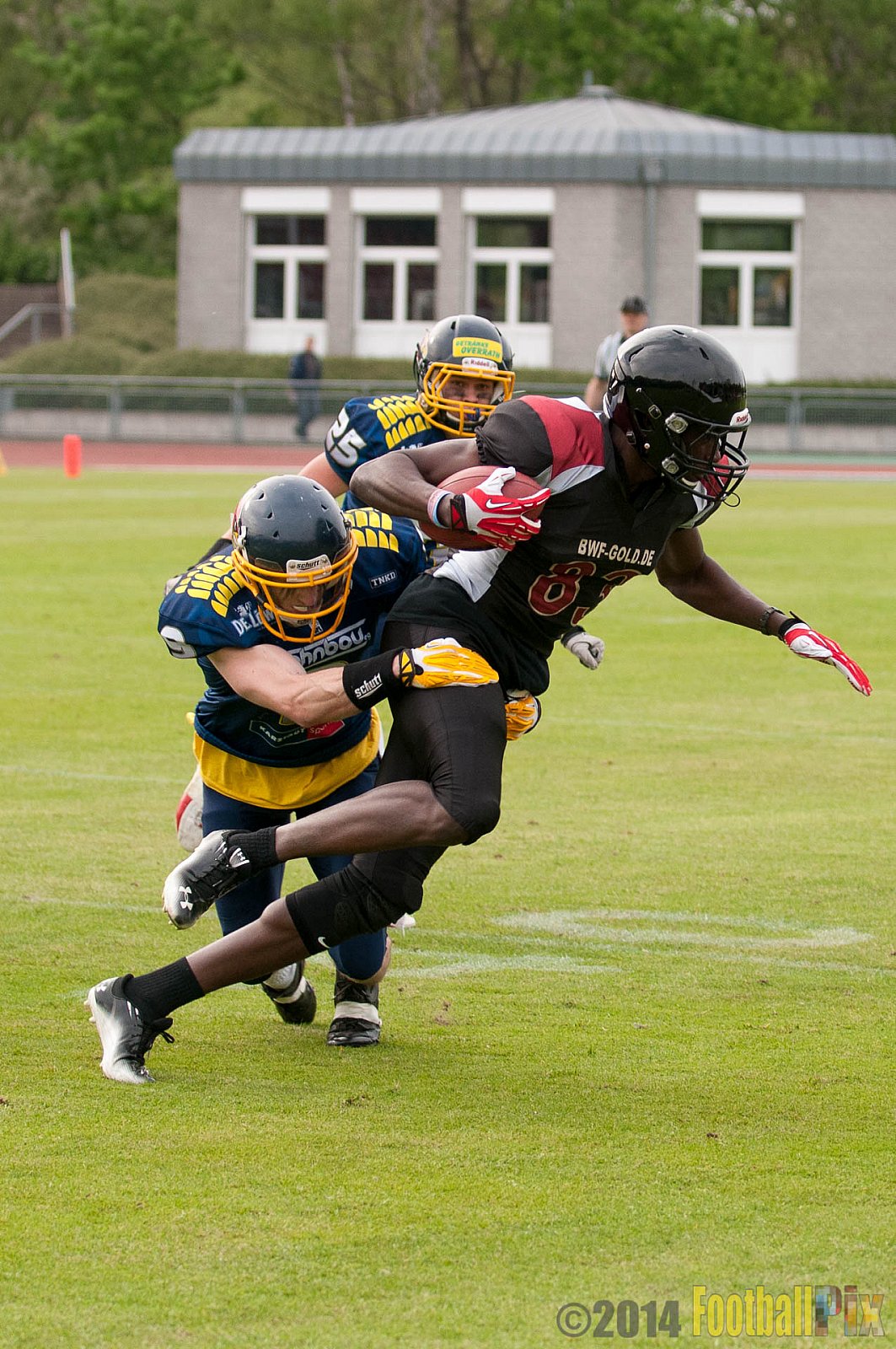Essen Assindia Cardinals vs. Köln Falcons - 12.04.2014 Essen Assindia Cardinals vs. Köln Falcons (9:61)