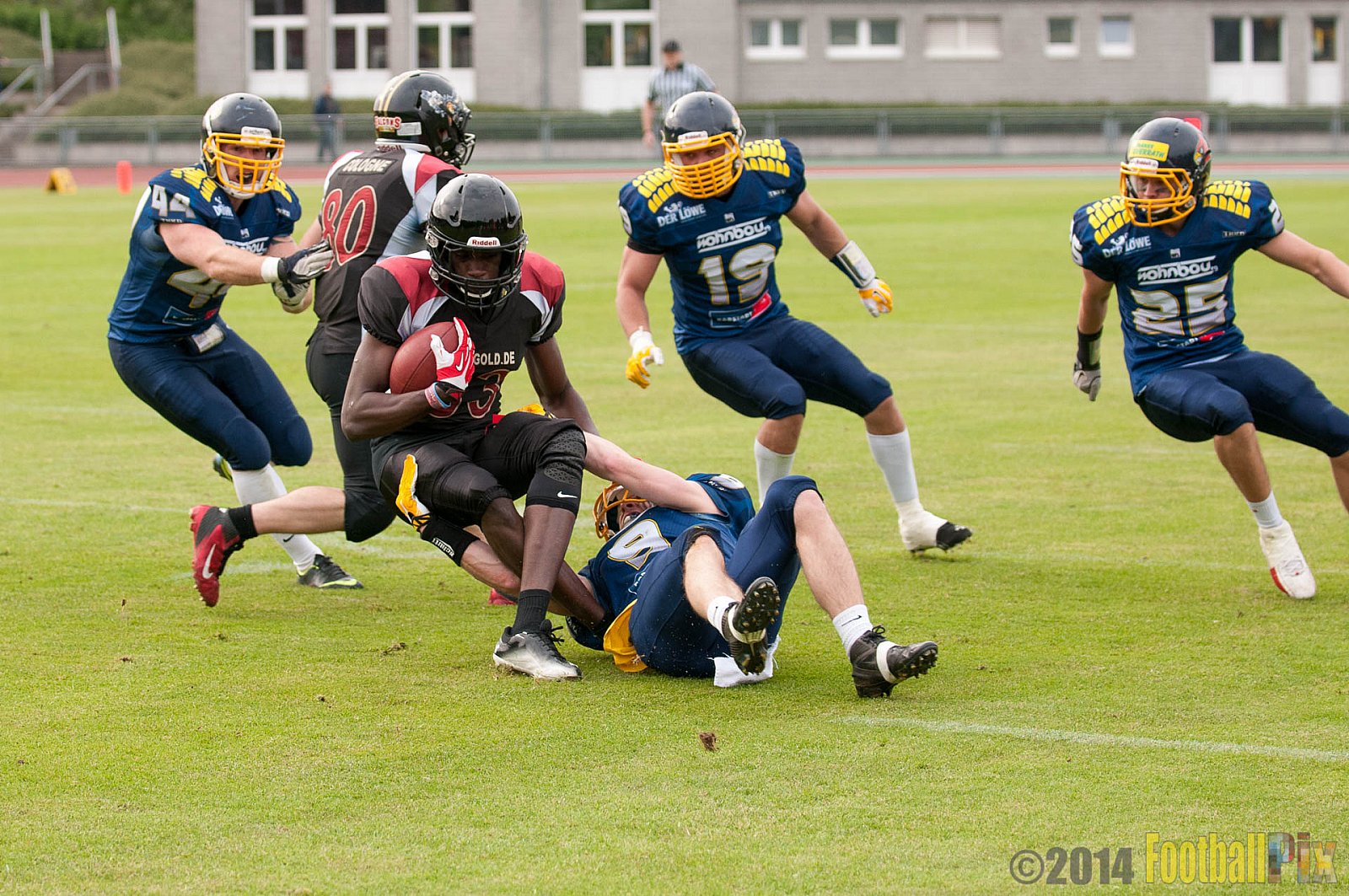 Essen Assindia Cardinals vs. Köln Falcons - 12.04.2014 Essen Assindia Cardinals vs. Köln Falcons (9:61)