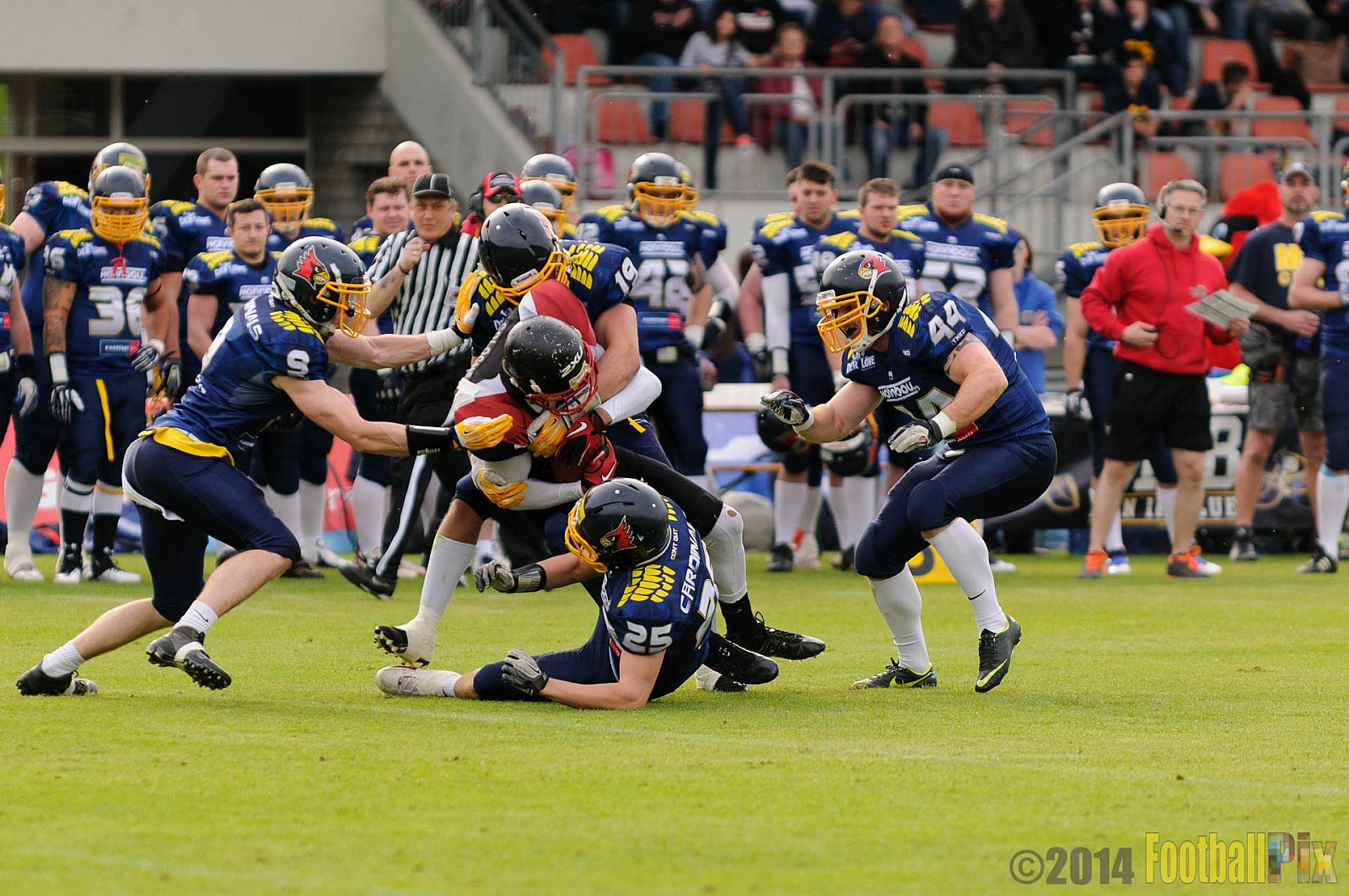 Essen Assindia Cardinals vs. Köln Falcons - 12.04.2014 Essen Assindia Cardinals vs. Köln Falcons (9:61)