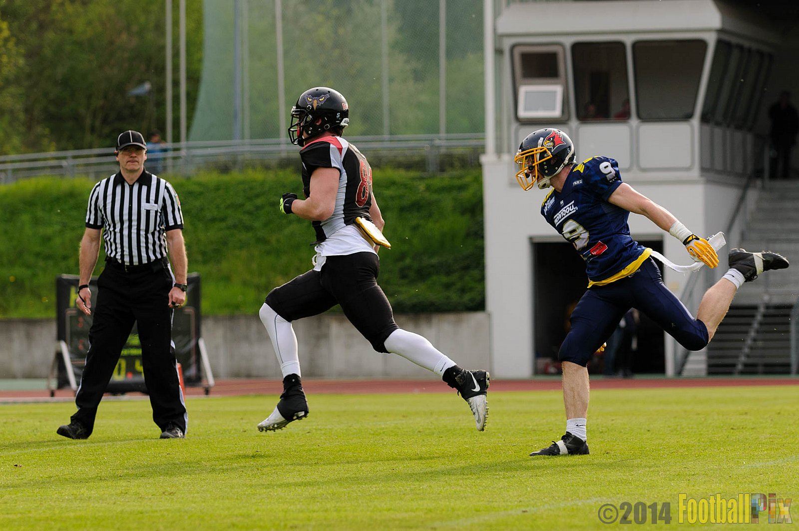 Essen Assindia Cardinals vs. Köln Falcons - 12.04.2014 Essen Assindia Cardinals vs. Köln Falcons (9:61)