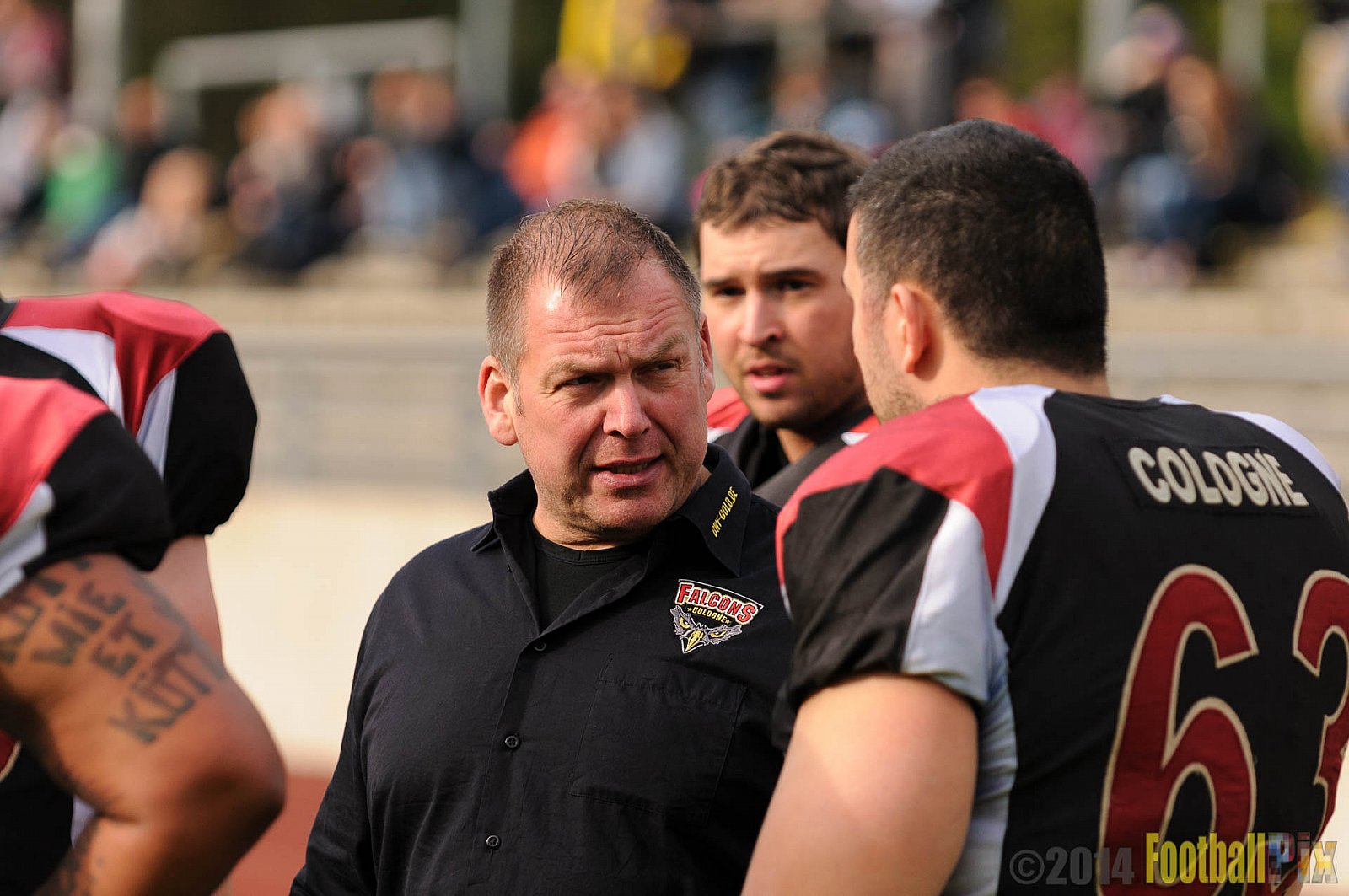 Essen Assindia Cardinals vs. Köln Falcons - 12.04.2014 Essen Assindia Cardinals vs. Köln Falcons (9:61)