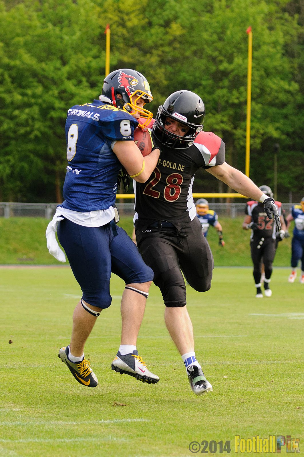 Essen Assindia Cardinals vs. Köln Falcons - 12.04.2014 Essen Assindia Cardinals vs. Köln Falcons (9:61)