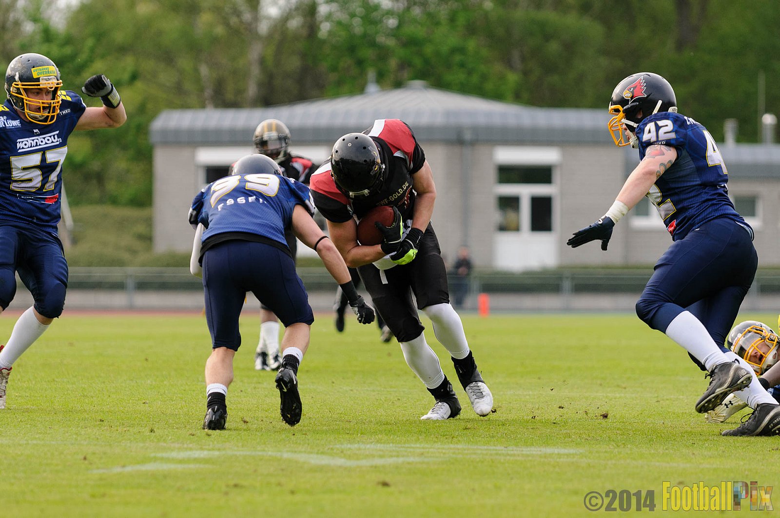 Essen Assindia Cardinals vs. Köln Falcons - 12.04.2014 Essen Assindia Cardinals vs. Köln Falcons (9:61)