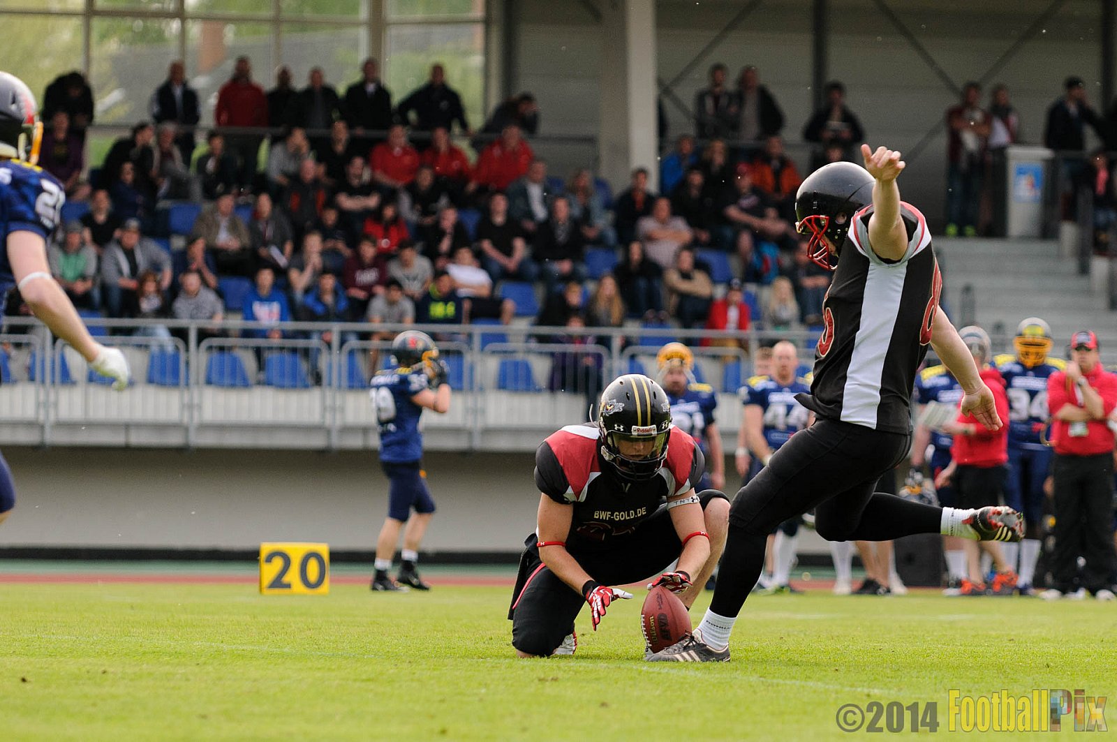 Essen Assindia Cardinals vs. Köln Falcons - 12.04.2014 Essen Assindia Cardinals vs. Köln Falcons (9:61)