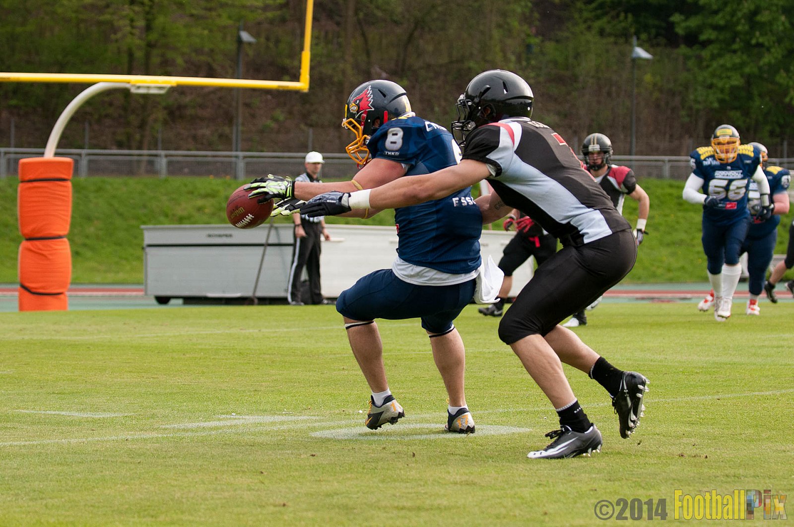 Essen Assindia Cardinals vs. Köln Falcons - 12.04.2014 Essen Assindia Cardinals vs. Köln Falcons (9:61)