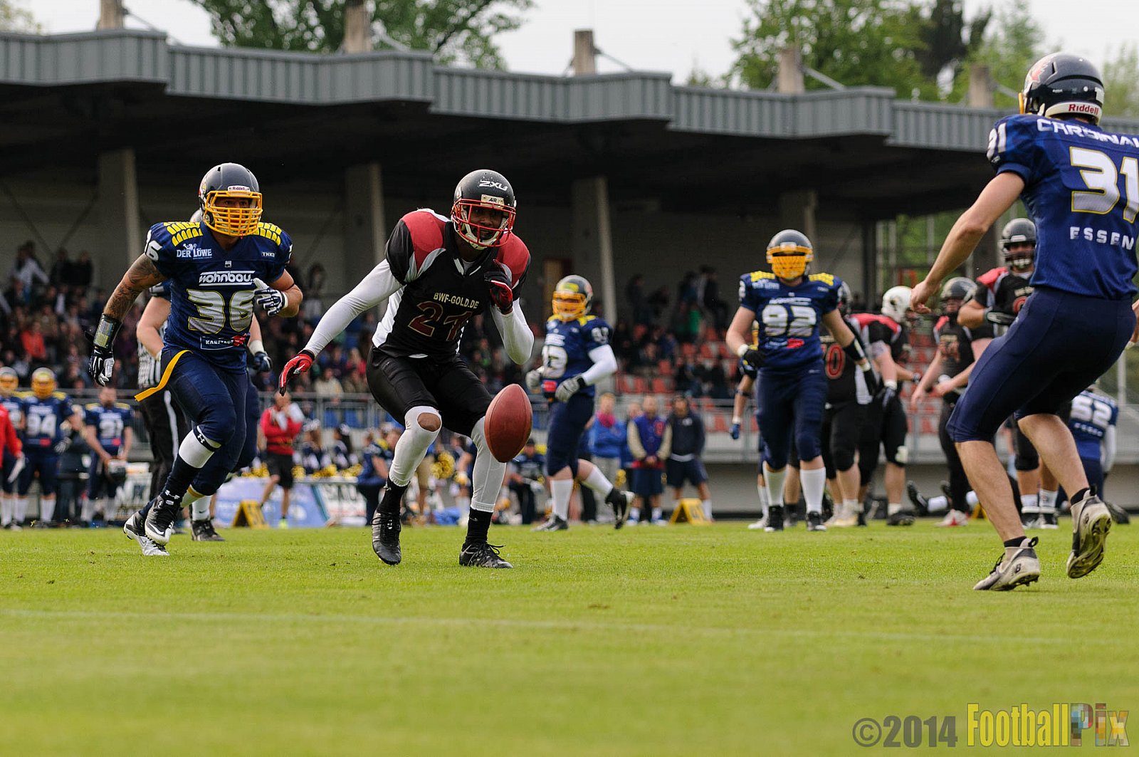 Essen Assindia Cardinals vs. Köln Falcons - 12.04.2014 Essen Assindia Cardinals vs. Köln Falcons (9:61)