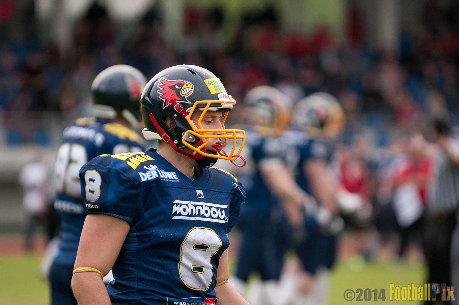 Essen Assindia Cardinals vs. Köln Falcons - 12.04.2014 Essen Assindia Cardinals vs. Köln Falcons (9:61)