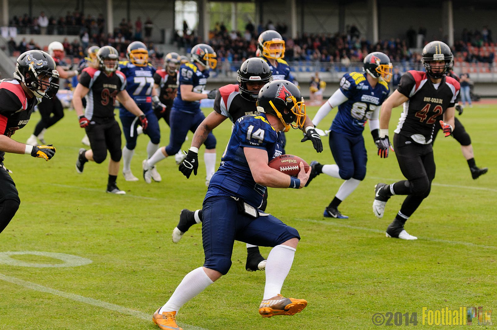 Essen Assindia Cardinals vs. Köln Falcons - 12.04.2014 Essen Assindia Cardinals vs. Köln Falcons (9:61)