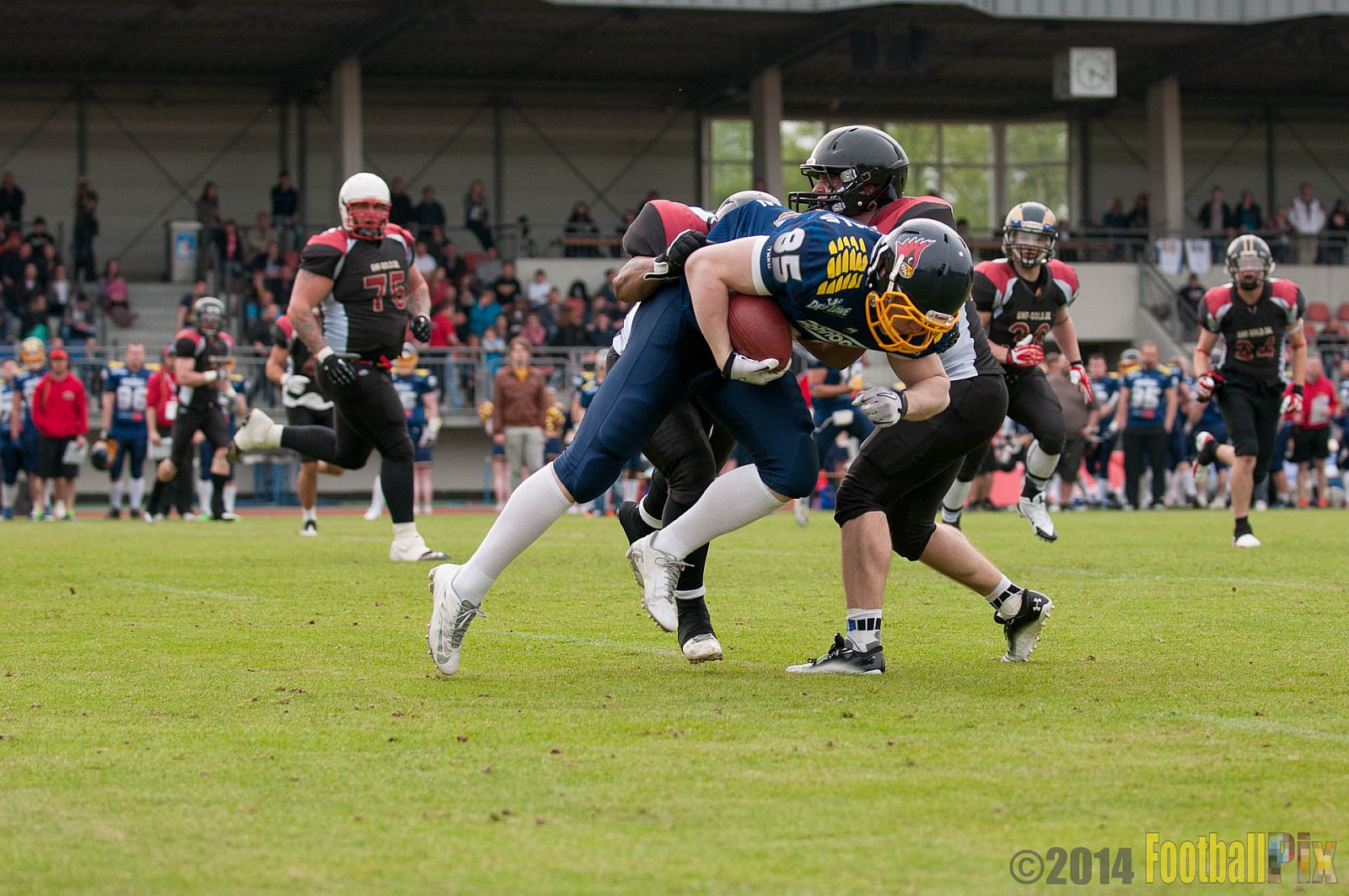 Essen Assindia Cardinals vs. Köln Falcons - 12.04.2014 Essen Assindia Cardinals vs. Köln Falcons (9:61)