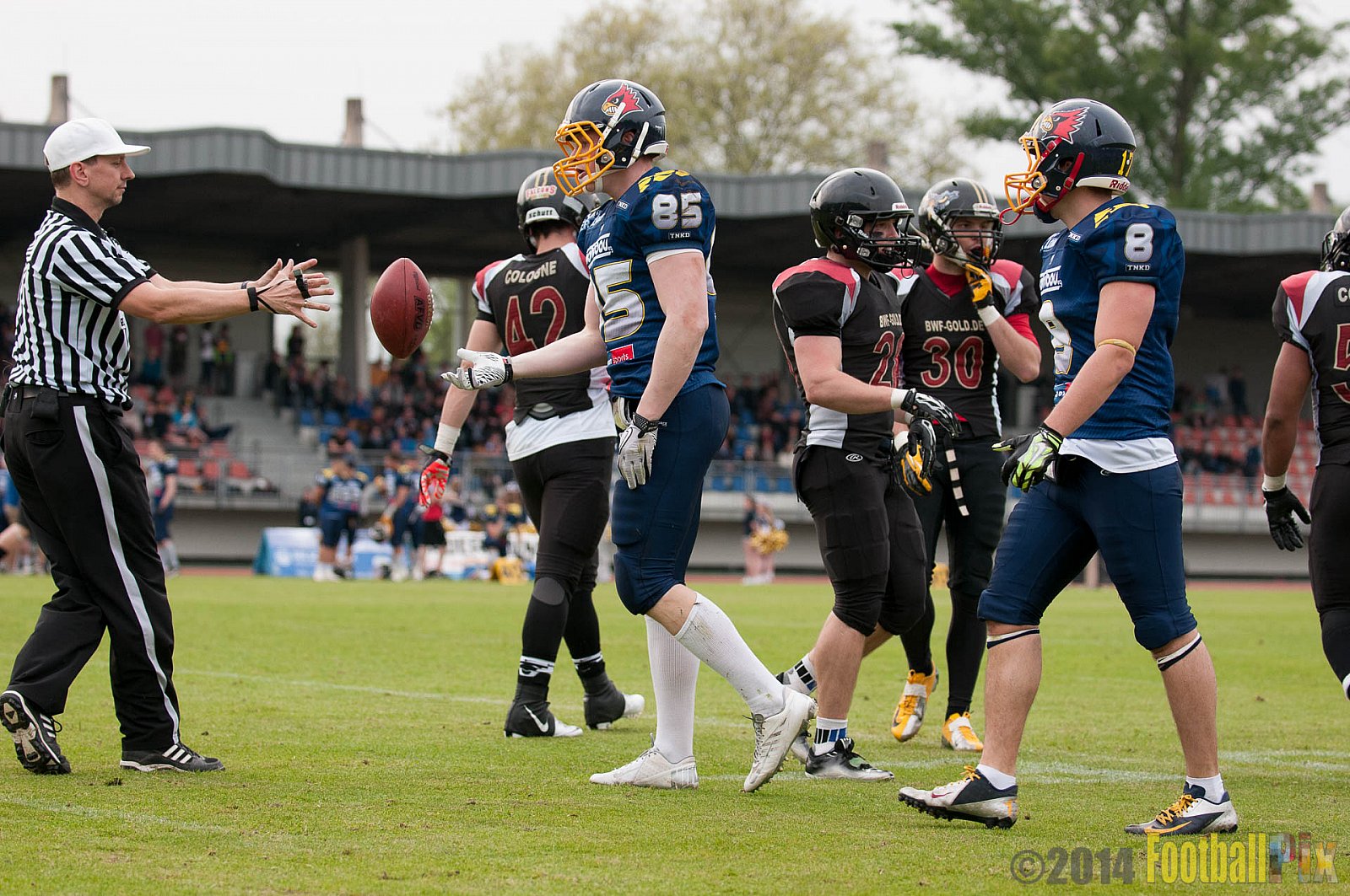 Essen Assindia Cardinals vs. Köln Falcons - 12.04.2014 Essen Assindia Cardinals vs. Köln Falcons (9:61)