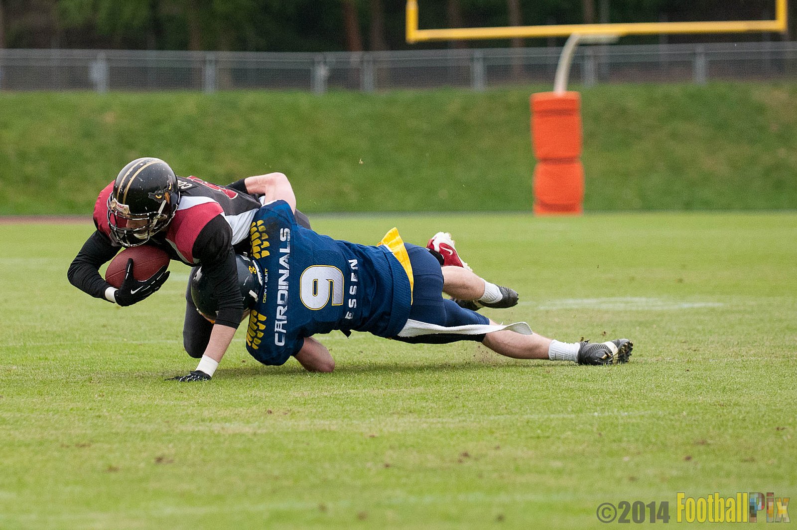 Essen Assindia Cardinals vs. Köln Falcons - 12.04.2014 Essen Assindia Cardinals vs. Köln Falcons (9:61)