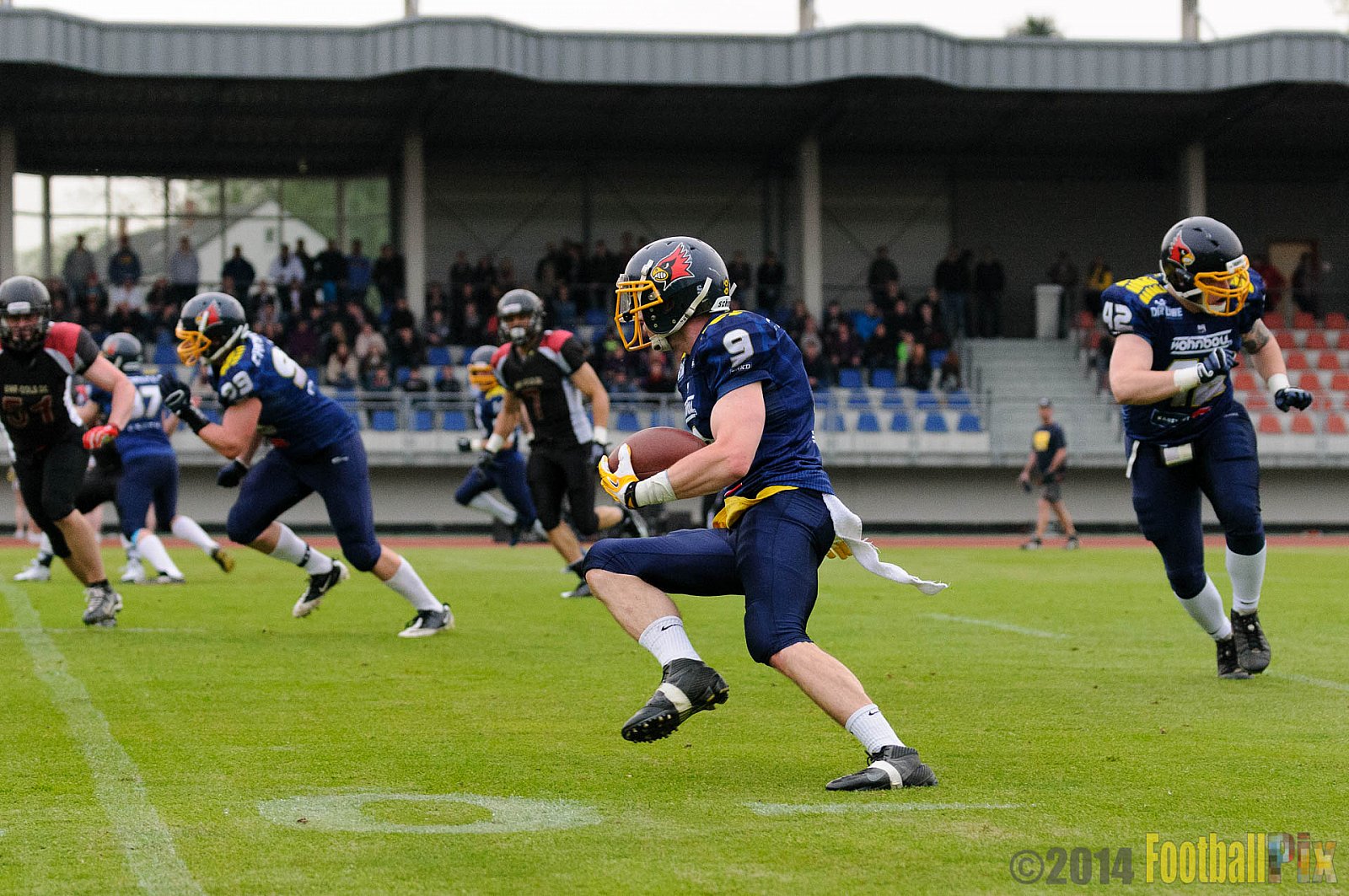 Essen Assindia Cardinals vs. Köln Falcons - 12.04.2014 Essen Assindia Cardinals vs. Köln Falcons (9:61)