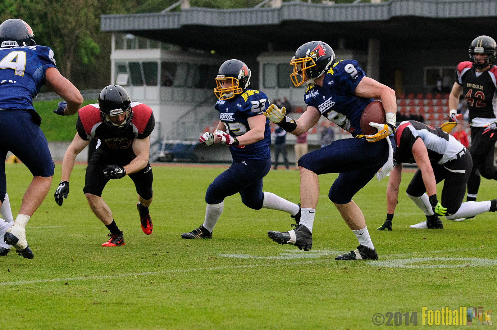 Essen Assindia Cardinals vs. Köln Falcons - 12.04.2014 Essen Assindia Cardinals vs. Köln Falcons (9:61)