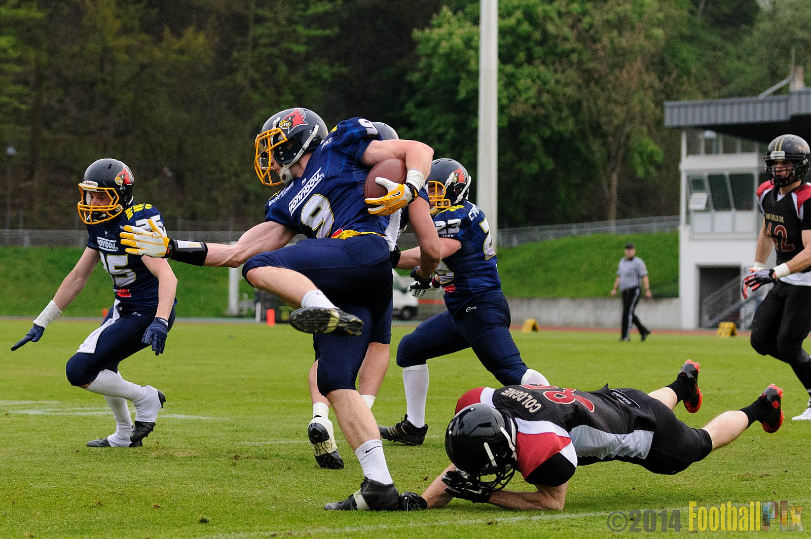 Essen Assindia Cardinals vs. Köln Falcons - 12.04.2014 Essen Assindia Cardinals vs. Köln Falcons (9:61)